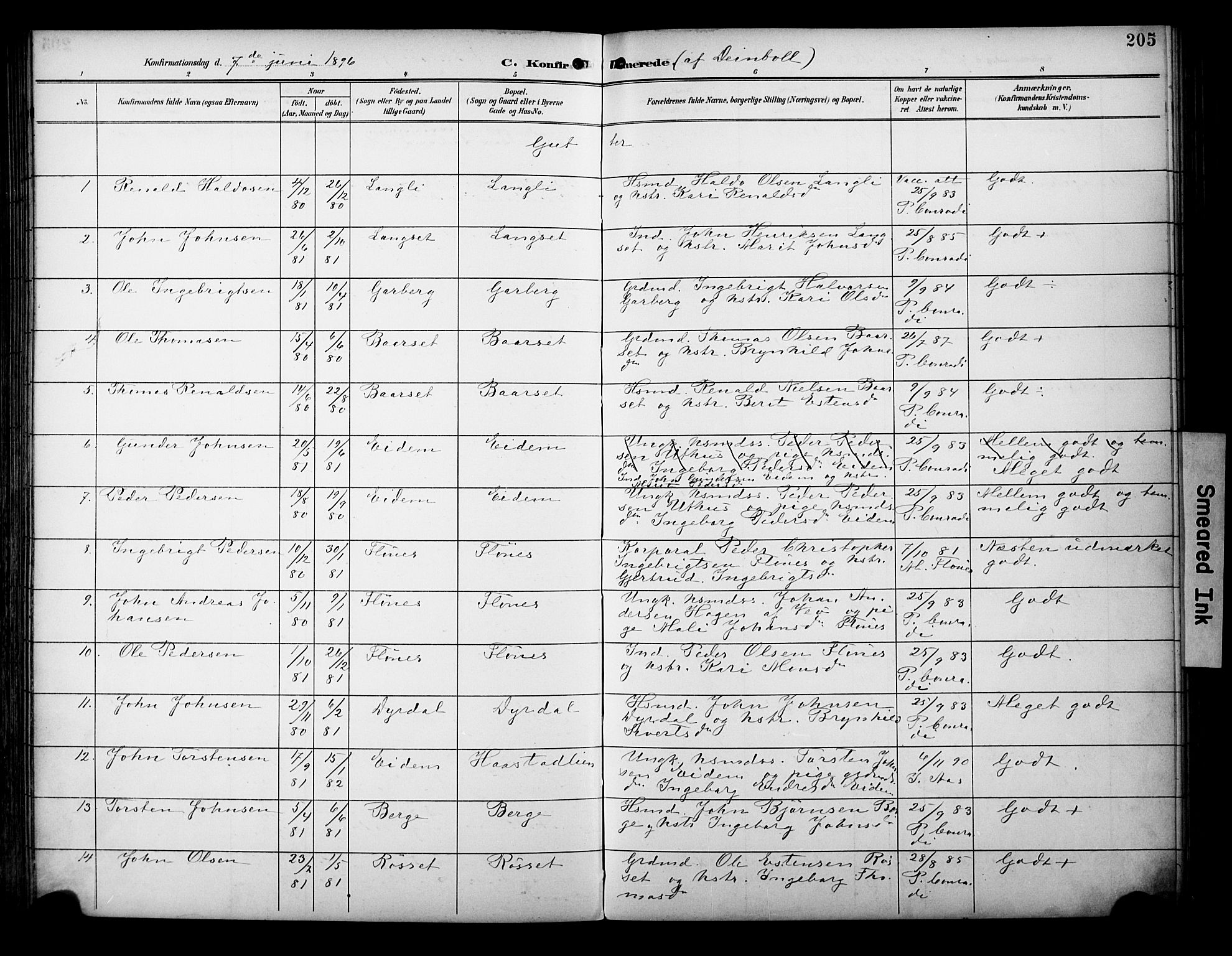 Ministerialprotokoller, klokkerbøker og fødselsregistre - Sør-Trøndelag, AV/SAT-A-1456/695/L1149: Parish register (official) no. 695A09, 1891-1902, p. 205