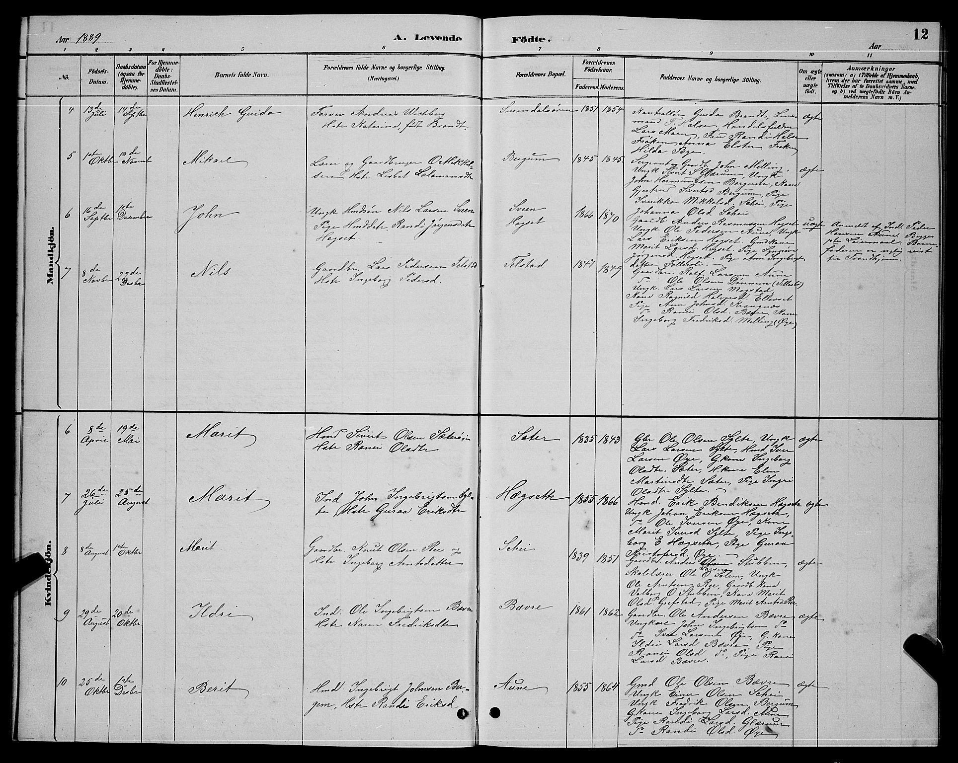 Ministerialprotokoller, klokkerbøker og fødselsregistre - Møre og Romsdal, AV/SAT-A-1454/595/L1052: Parish register (copy) no. 595C04, 1885-1900, p. 12