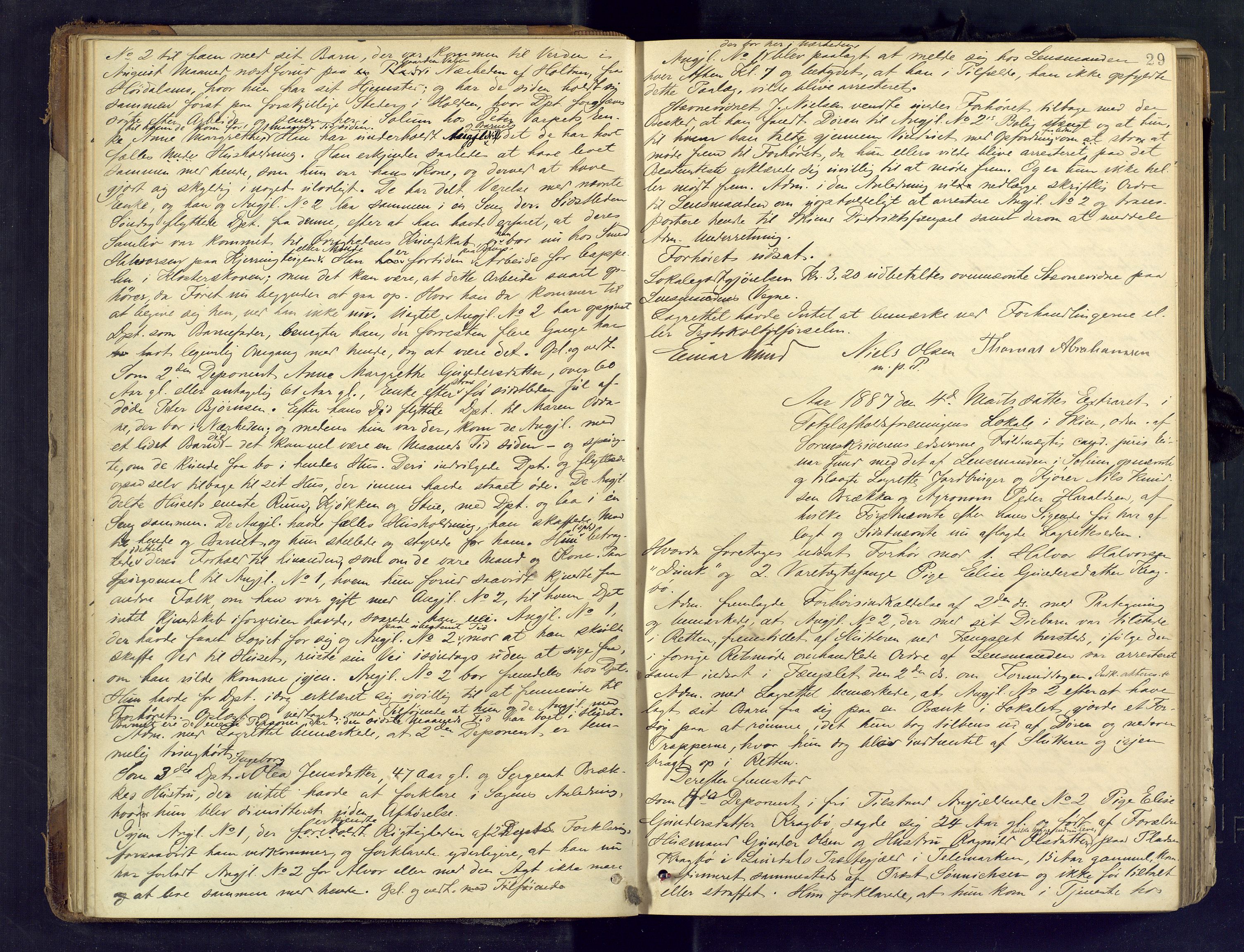 Gjerpen sorenskriveri, AV/SAKO-A-216/F/Fb/L0012: Ekstrarettsprotokoll, 1886-1893, p. 29