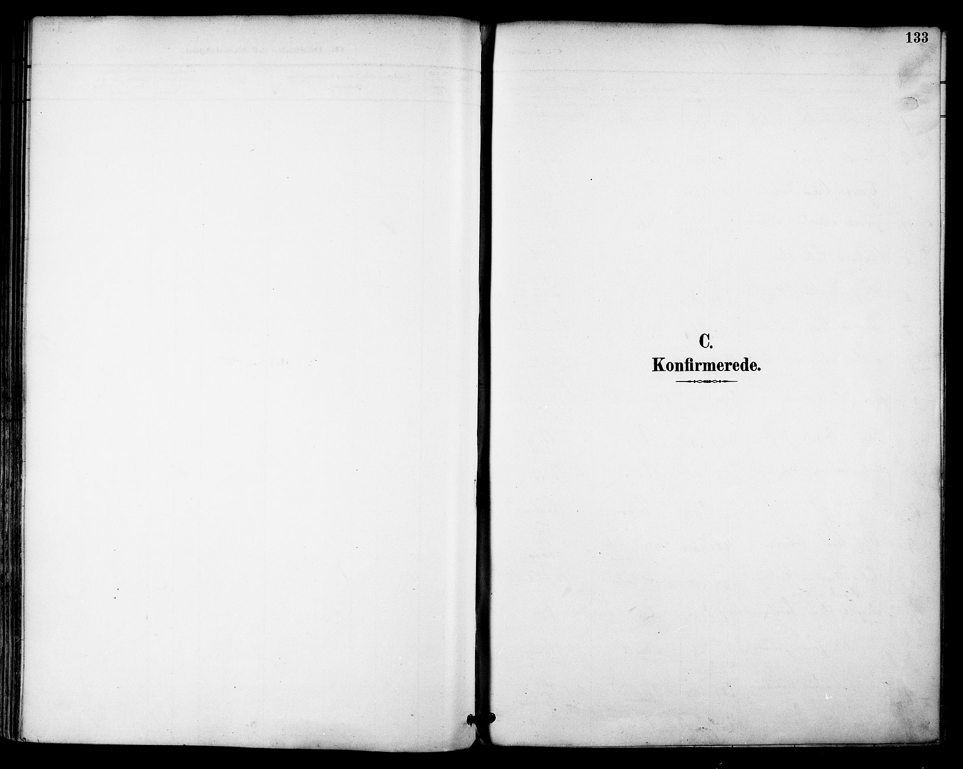 Ministerialprotokoller, klokkerbøker og fødselsregistre - Nordland, SAT/A-1459/855/L0803: Parish register (official) no. 855A11, 1887-1905, p. 133