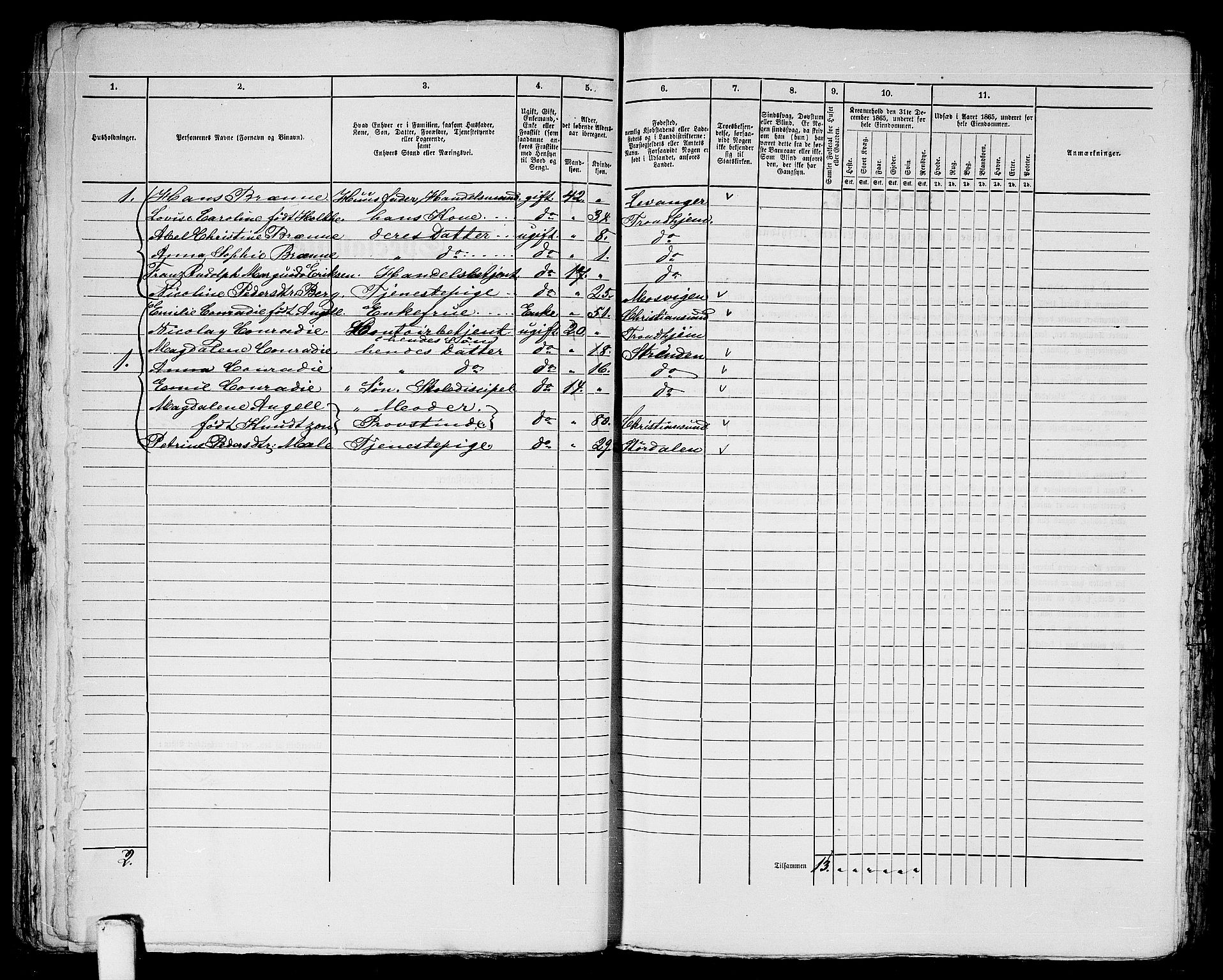 RA, 1865 census for Trondheim, 1865, p. 1217