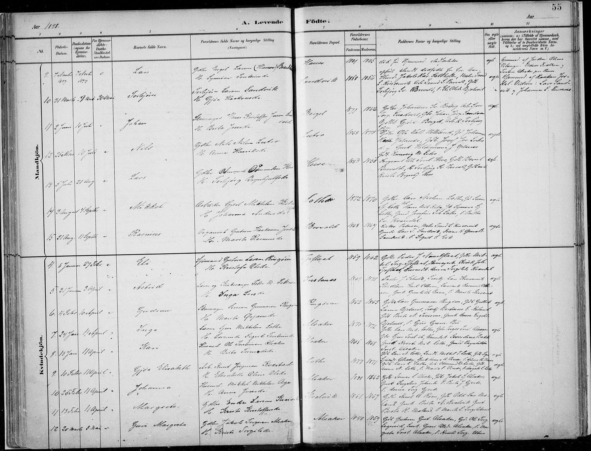 Ullensvang sokneprestembete, AV/SAB-A-78701/H/Haa: Parish register (official) no. E  1, 1882-1921, p. 55