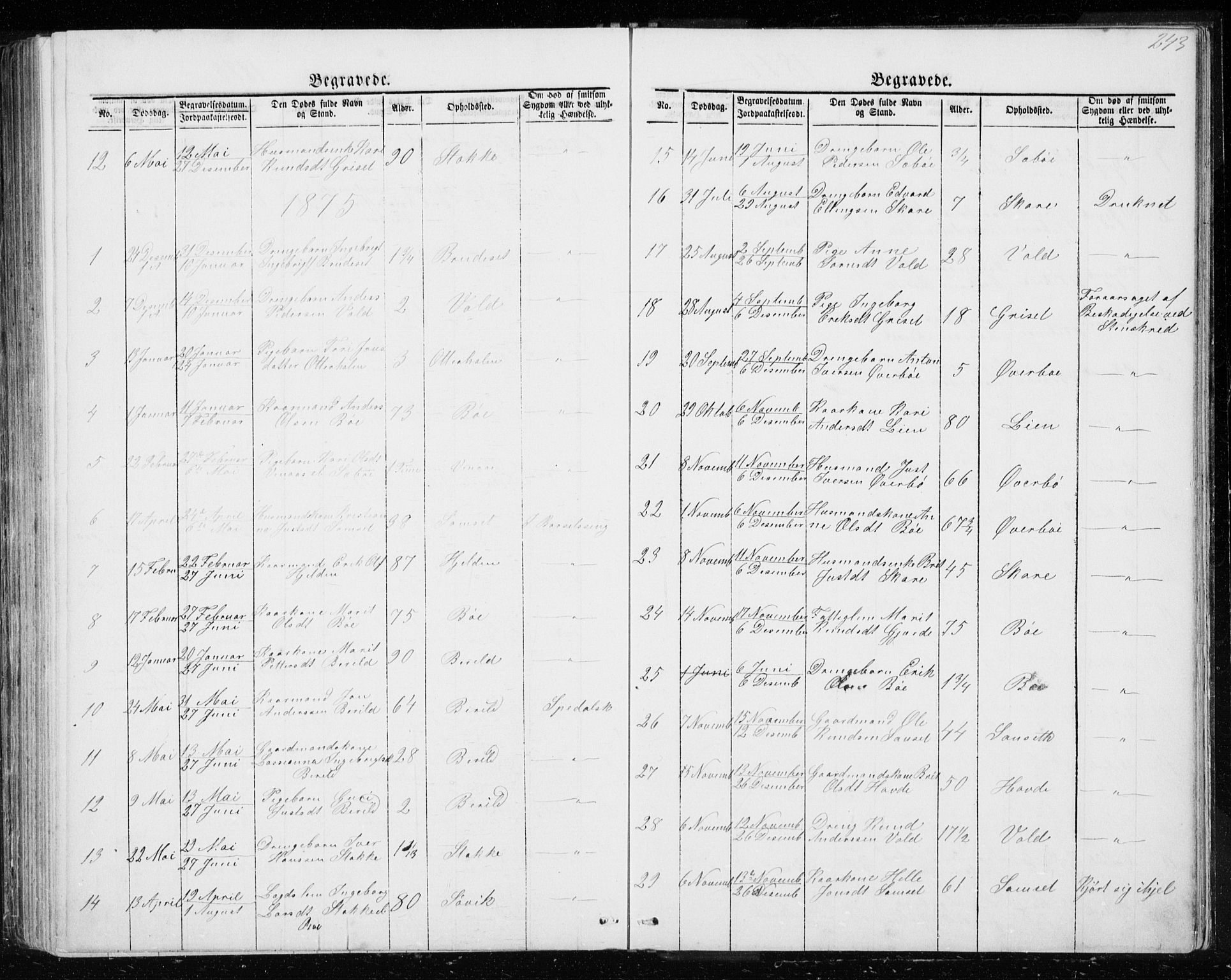 Ministerialprotokoller, klokkerbøker og fødselsregistre - Møre og Romsdal, SAT/A-1454/543/L0564: Parish register (copy) no. 543C02, 1867-1915, p. 243