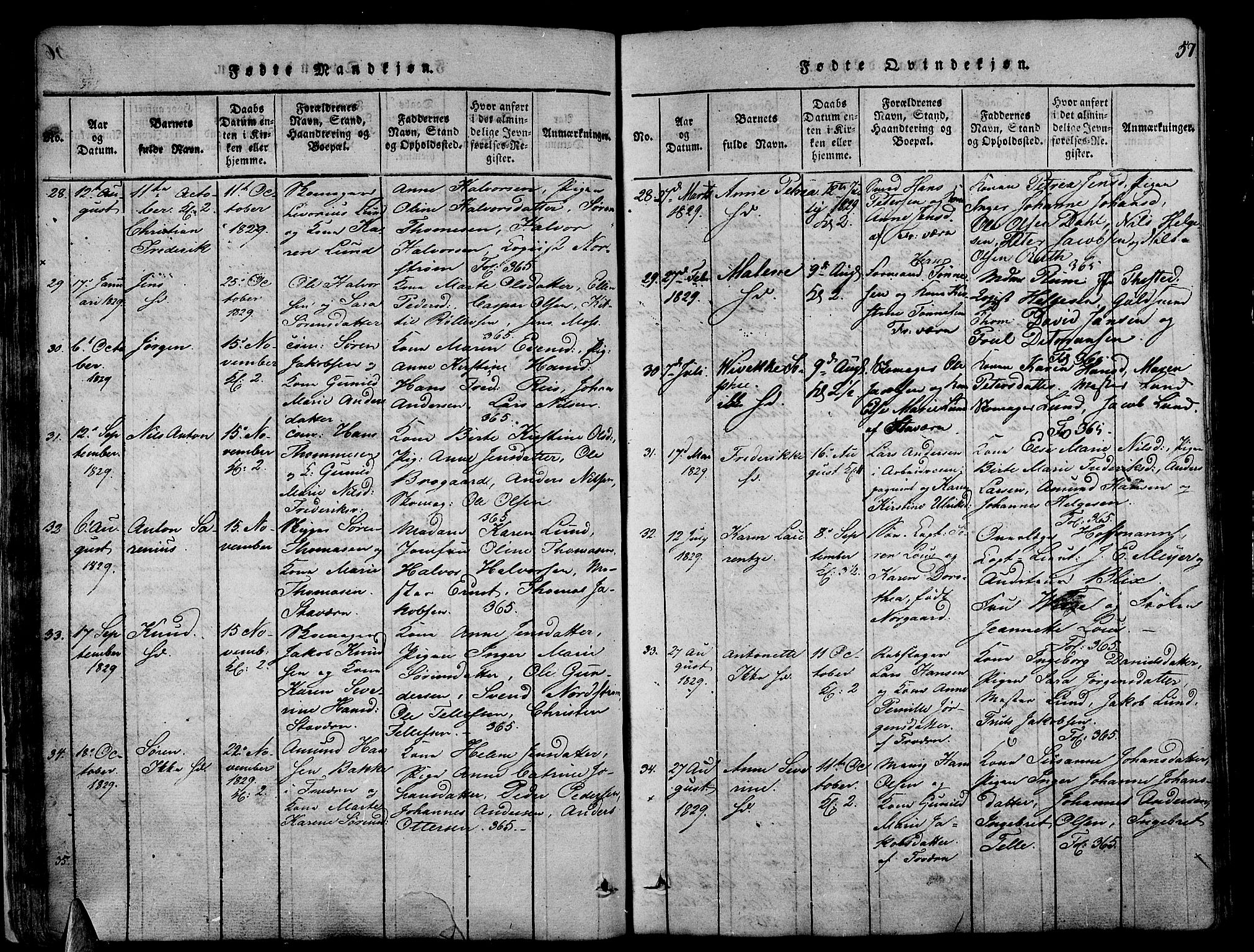 Stavern kirkebøker, AV/SAKO-A-318/G/Ga/L0001: Parish register (copy) no. 1, 1817-1841, p. 57