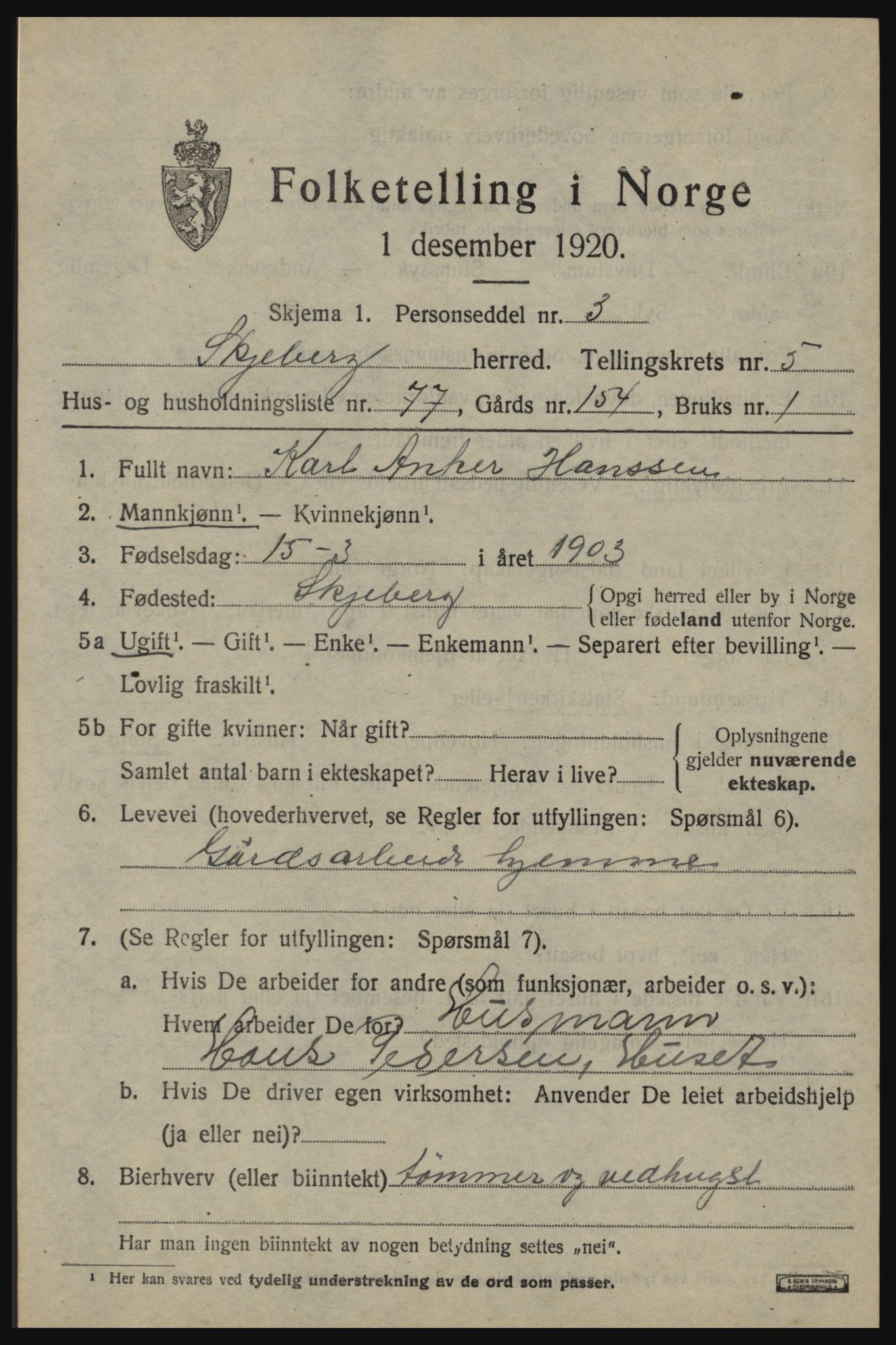 SAO, 1920 census for Skjeberg, 1920, p. 6593