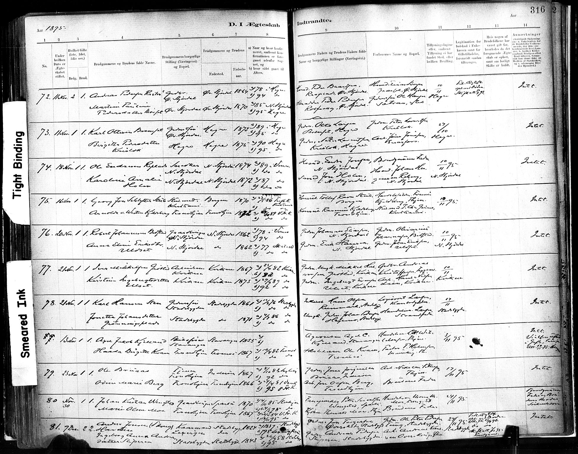 Ministerialprotokoller, klokkerbøker og fødselsregistre - Sør-Trøndelag, SAT/A-1456/602/L0119: Parish register (official) no. 602A17, 1880-1901, p. 316