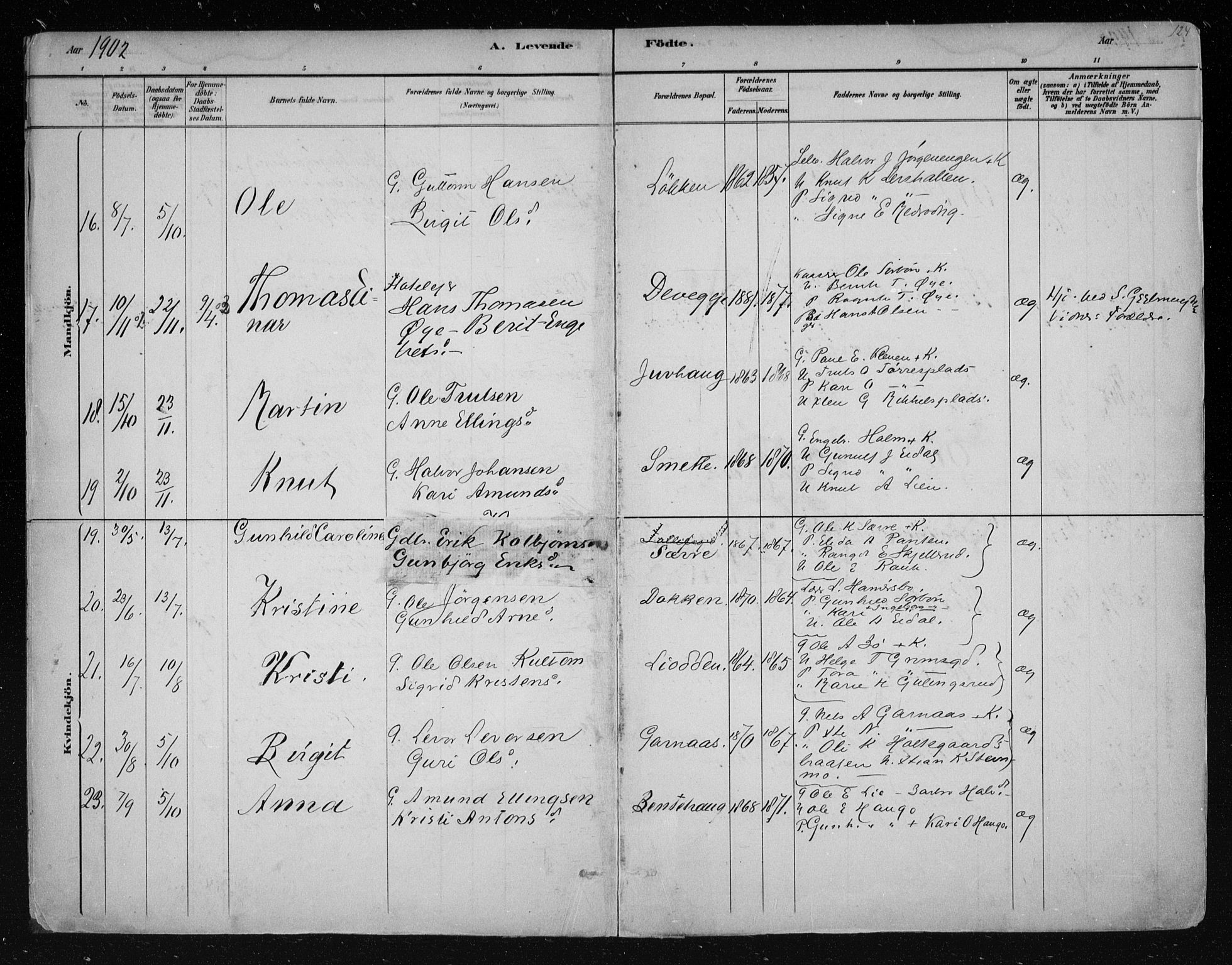 Nes kirkebøker, AV/SAKO-A-236/F/Fa/L0011: Parish register (official) no. 11, 1881-1912, p. 124