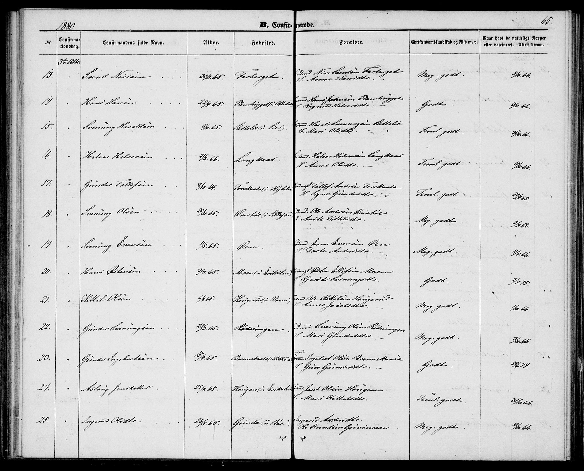 Bø kirkebøker, SAKO/A-257/G/Ga/L0004: Parish register (copy) no. 4, 1876-1882, p. 65