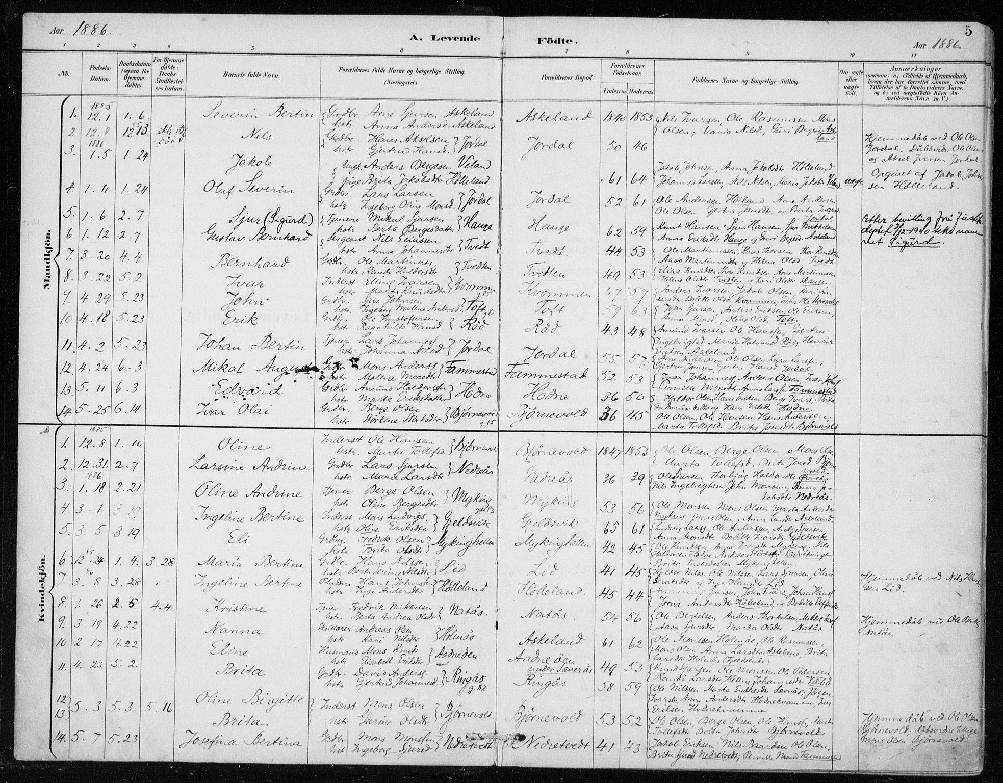 Lindås Sokneprestembete, AV/SAB-A-76701/H/Haa/Haaf/L0001: Parish register (official) no. F  1, 1886-1897, p. 5