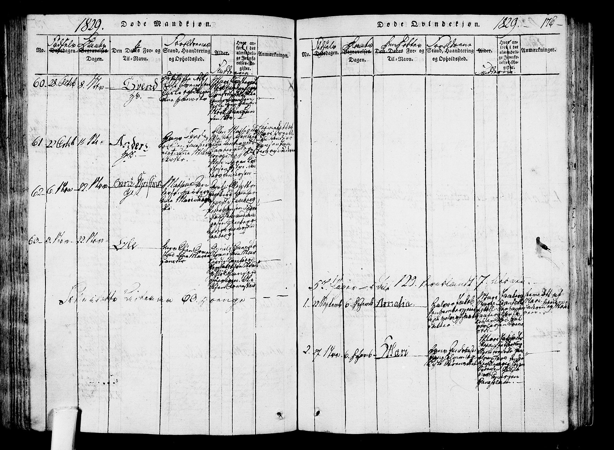Sandar kirkebøker, SAKO/A-243/F/Fa/L0004: Parish register (official) no. 4, 1814-1832, p. 176