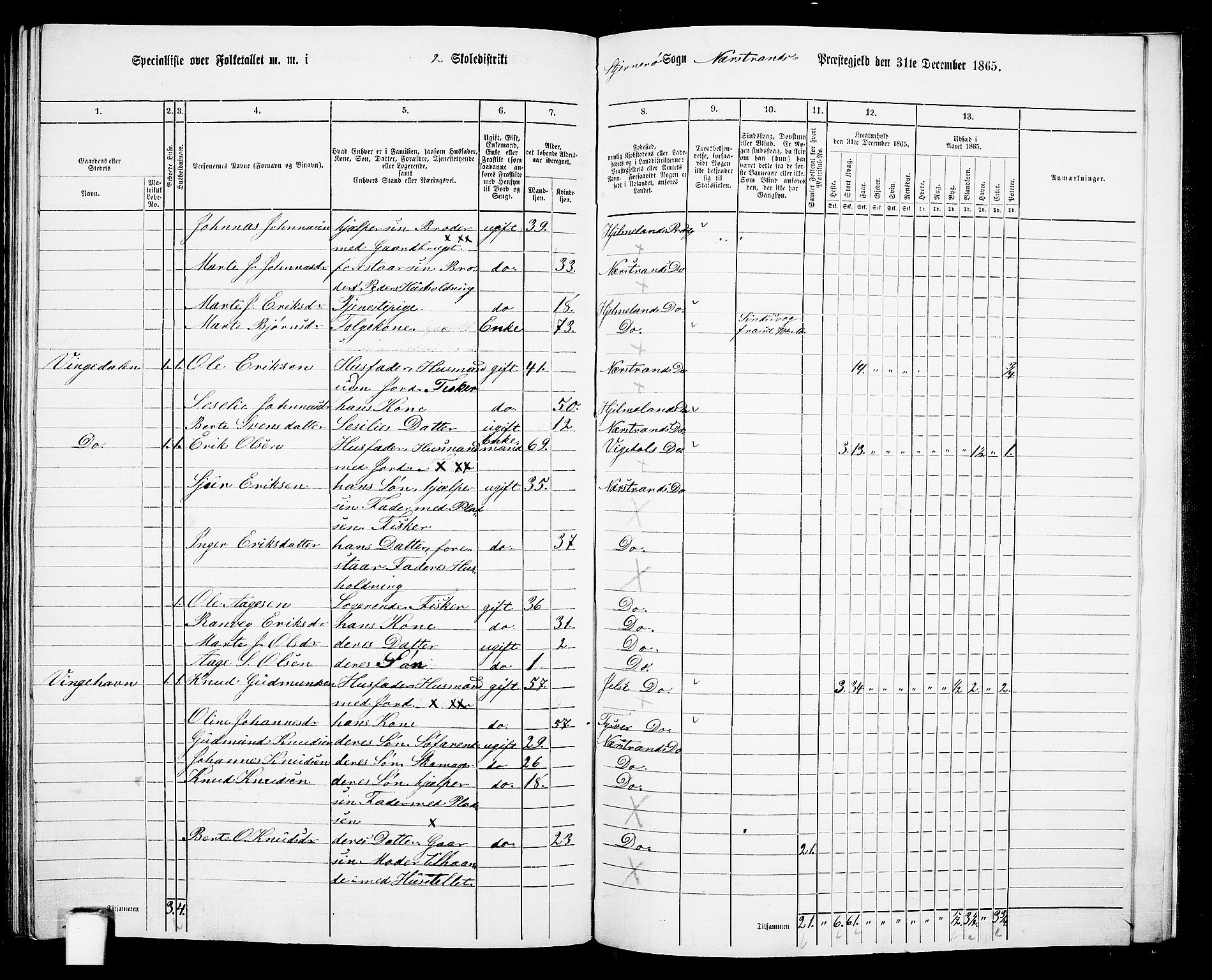 RA, 1865 census for Nedstrand, 1865, p. 101