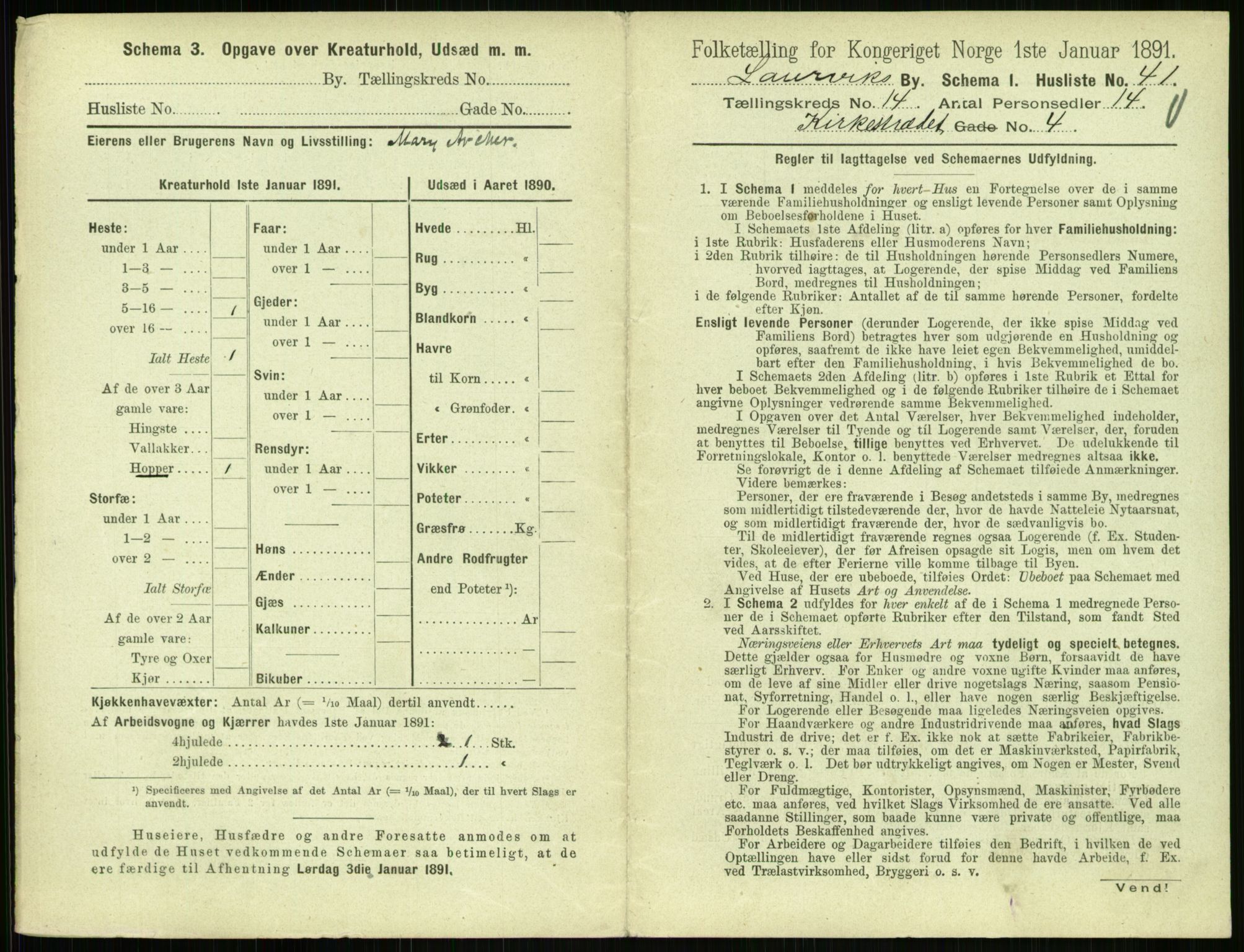 RA, 1891 census for 0707 Larvik, 1891, p. 1693