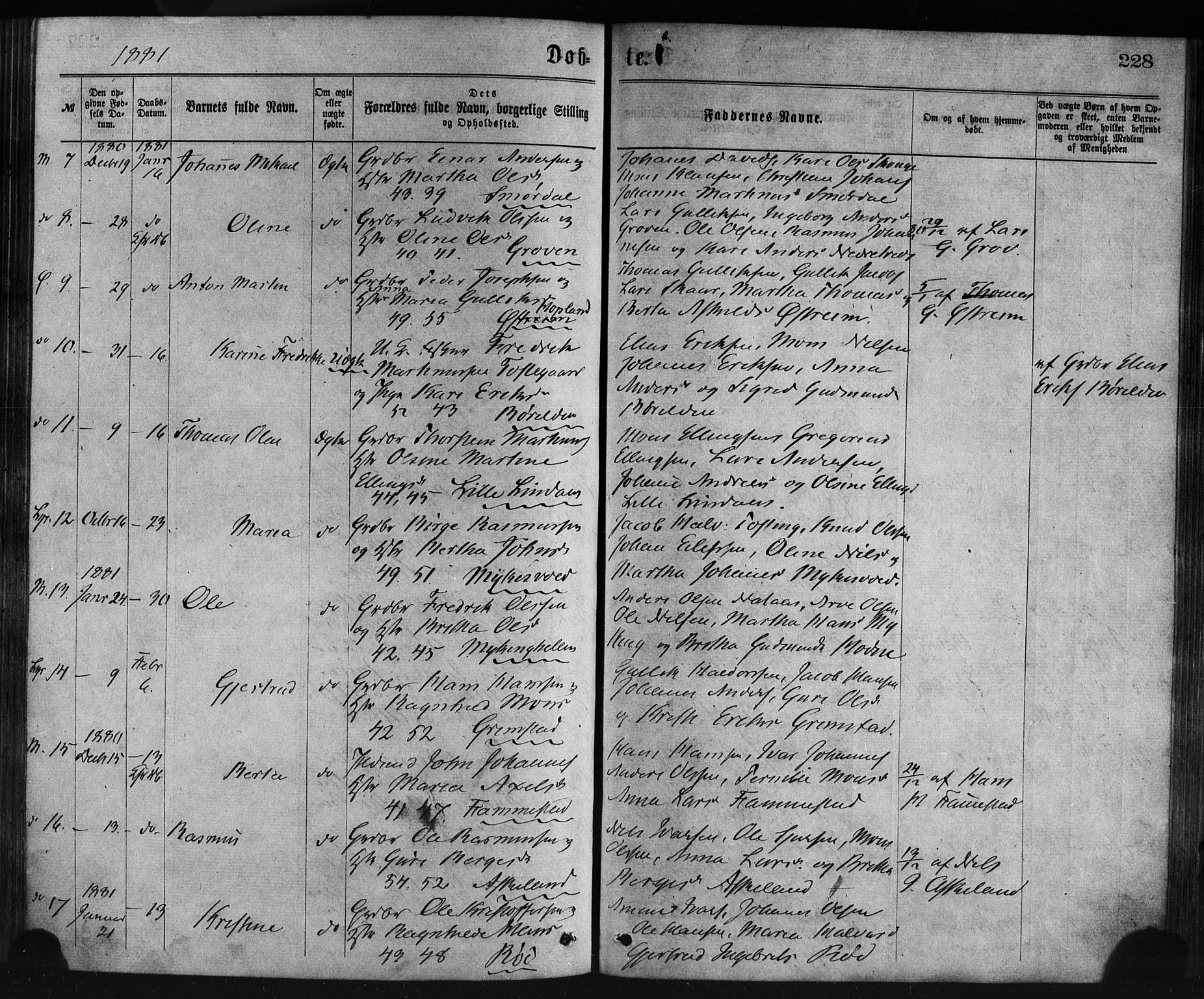 Lindås Sokneprestembete, SAB/A-76701/H/Haa: Parish register (official) no. A 18, 1869-1885, p. 228