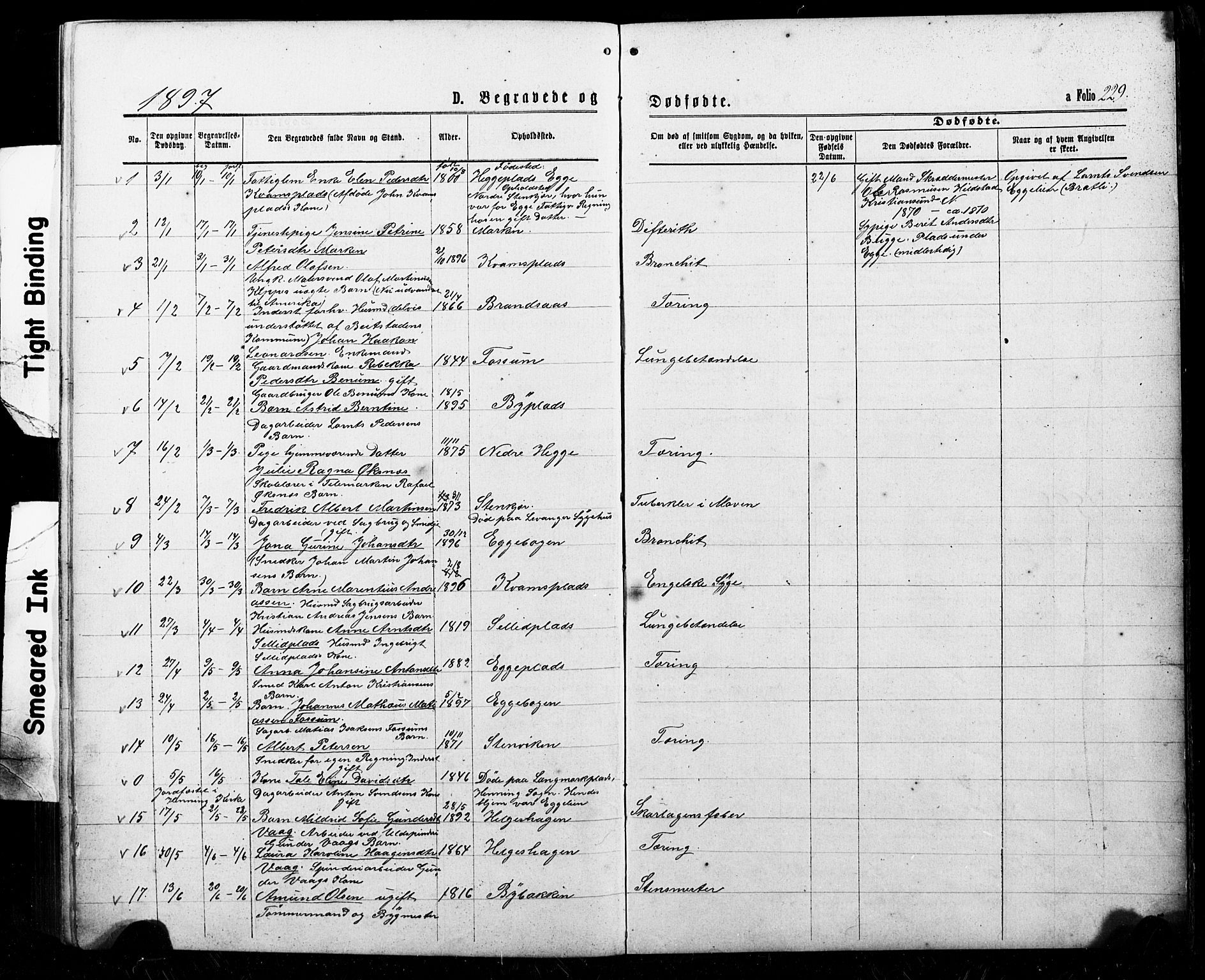 Ministerialprotokoller, klokkerbøker og fødselsregistre - Nord-Trøndelag, SAT/A-1458/740/L0380: Parish register (copy) no. 740C01, 1868-1902, p. 229