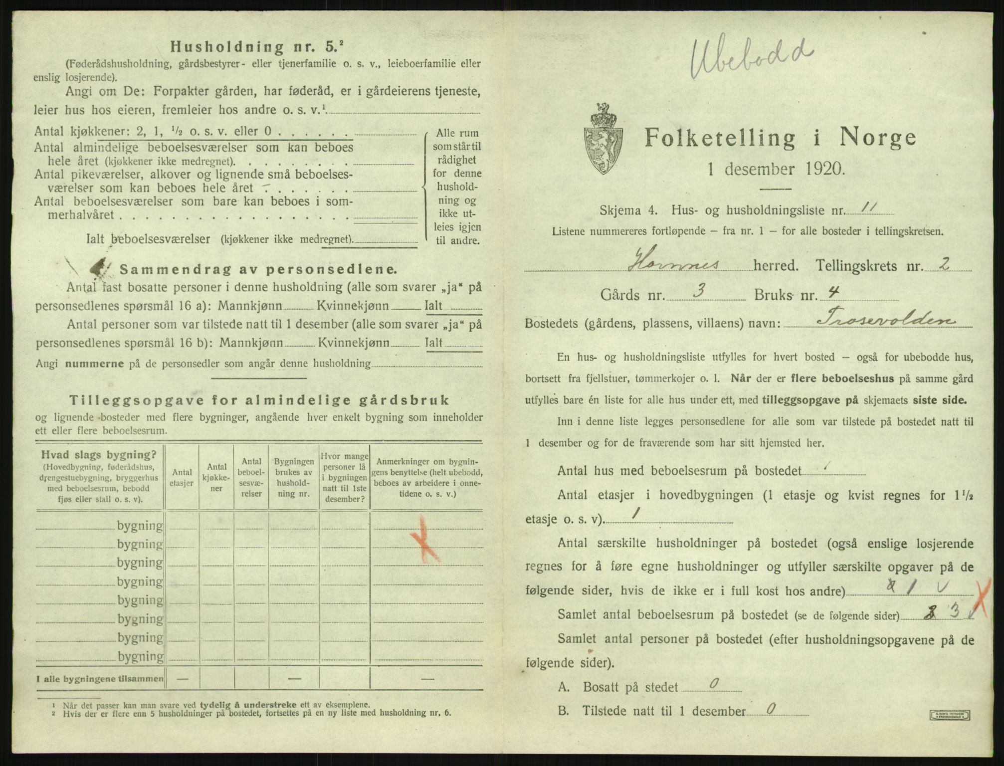 SAK, 1920 census for Hornnes, 1920, p. 111