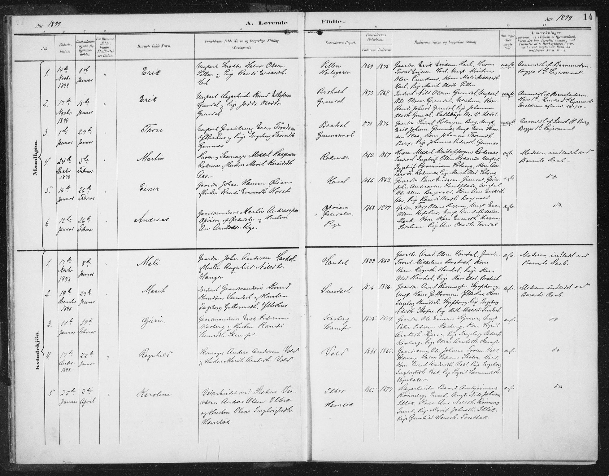 Ministerialprotokoller, klokkerbøker og fødselsregistre - Sør-Trøndelag, SAT/A-1456/674/L0872: Parish register (official) no. 674A04, 1897-1907, p. 15