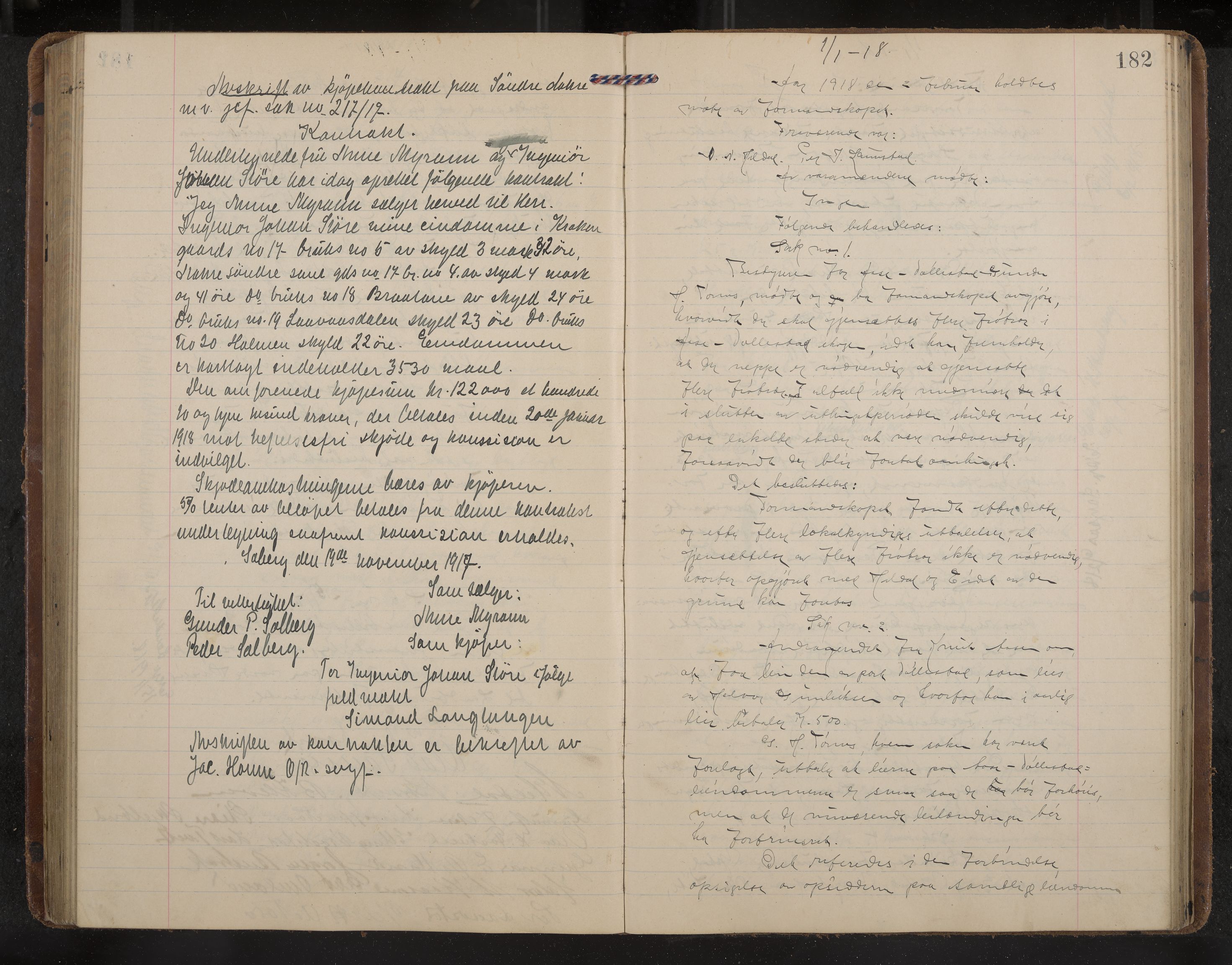 Drangedal formannskap og sentraladministrasjon, IKAK/0817021/A/L0005: Møtebok, 1914-1919, p. 182