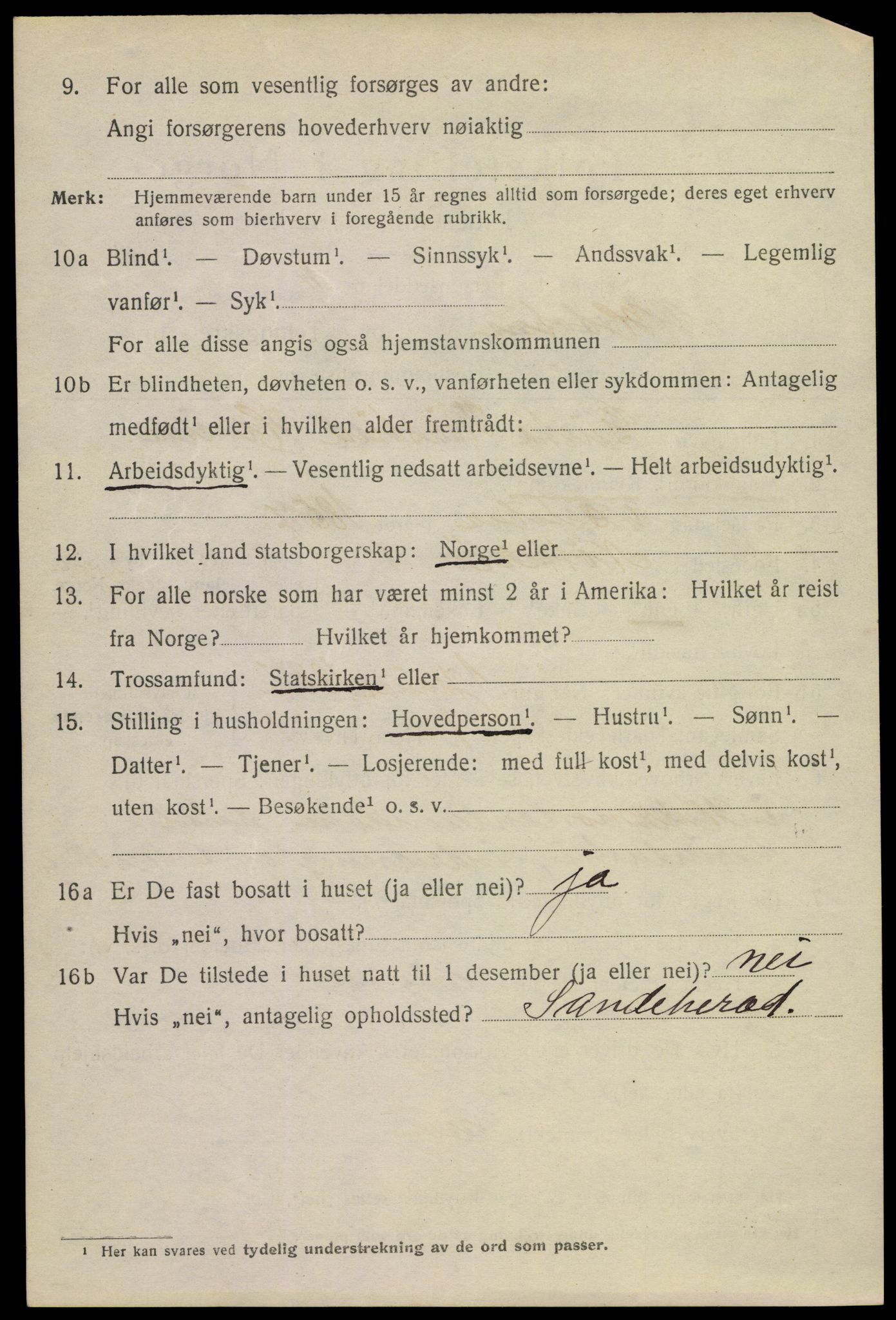 SAKO, 1920 census for Horten, 1920, p. 17550