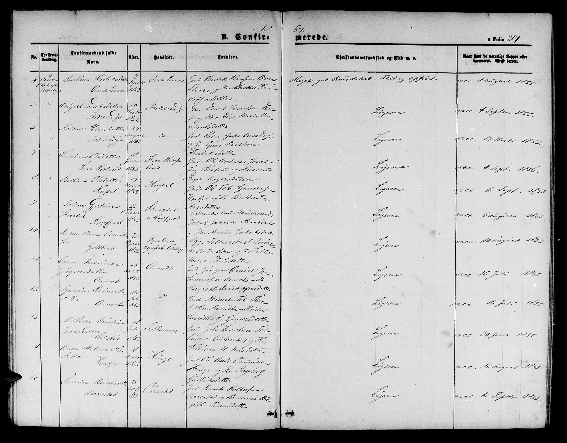 Sokndal sokneprestkontor, SAST/A-101808: Parish register (copy) no. B 3, 1865-1879, p. 217