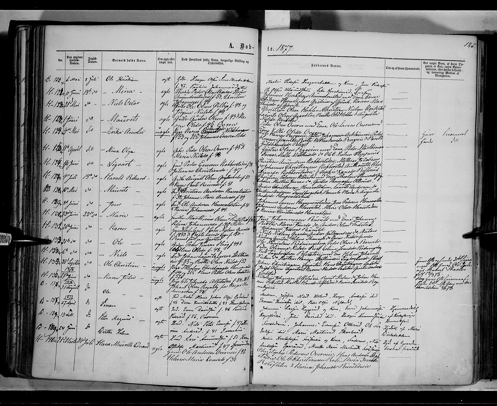 Østre Toten prestekontor, AV/SAH-PREST-104/H/Ha/Haa/L0005: Parish register (official) no. 5, 1866-1877, p. 125