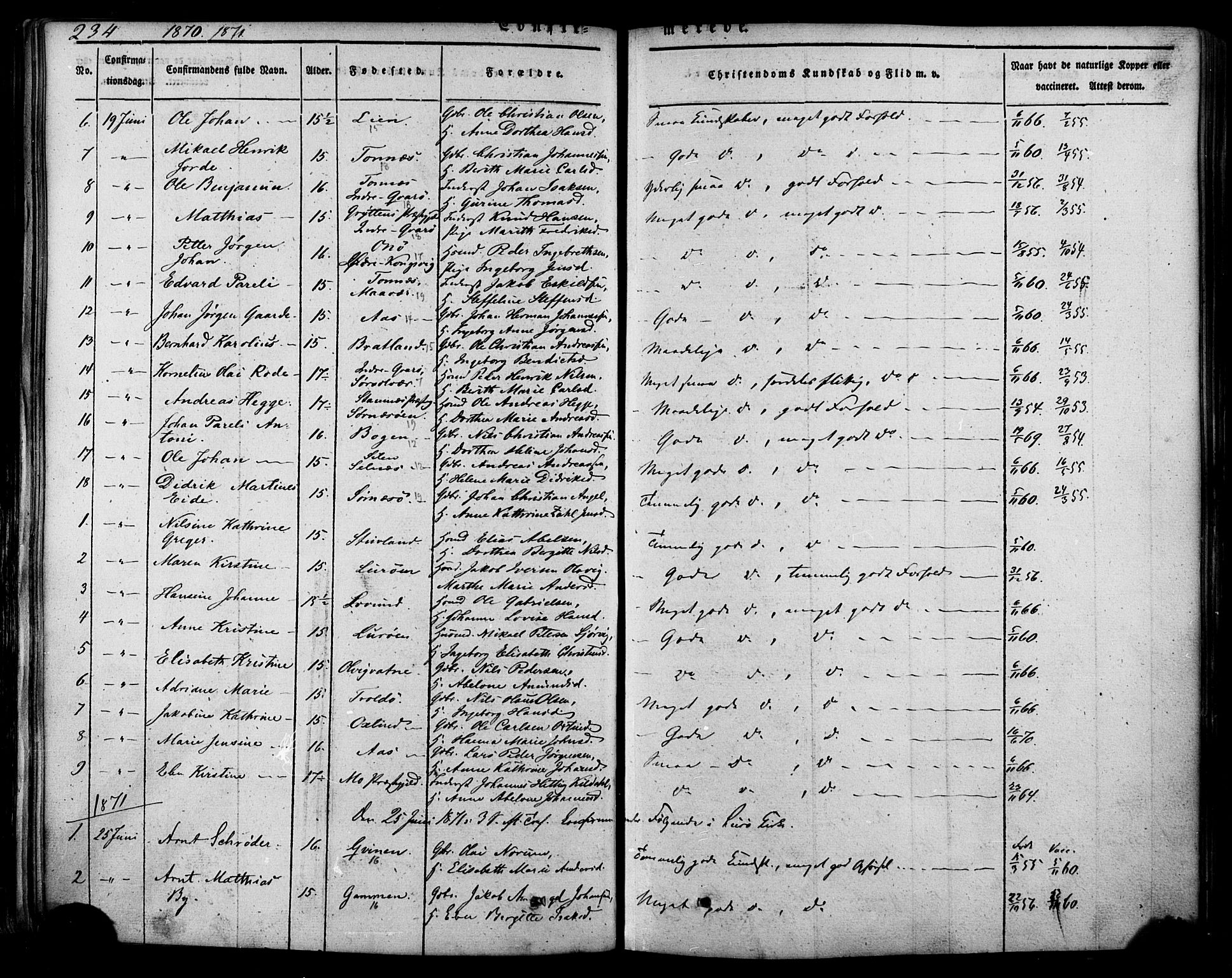 Ministerialprotokoller, klokkerbøker og fødselsregistre - Nordland, SAT/A-1459/839/L0567: Parish register (official) no. 839A04, 1863-1879, p. 234