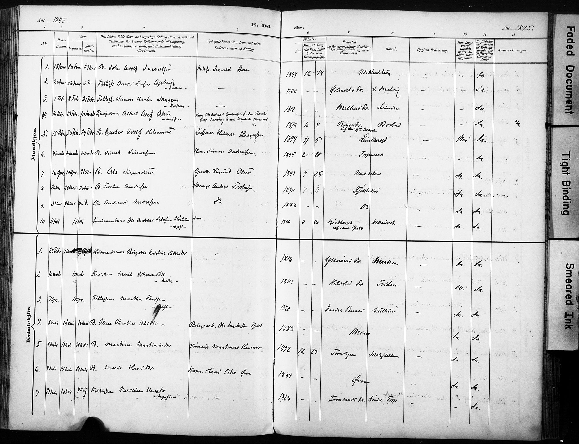 Ministerialprotokoller, klokkerbøker og fødselsregistre - Sør-Trøndelag, AV/SAT-A-1456/616/L0411: Parish register (official) no. 616A08, 1894-1906