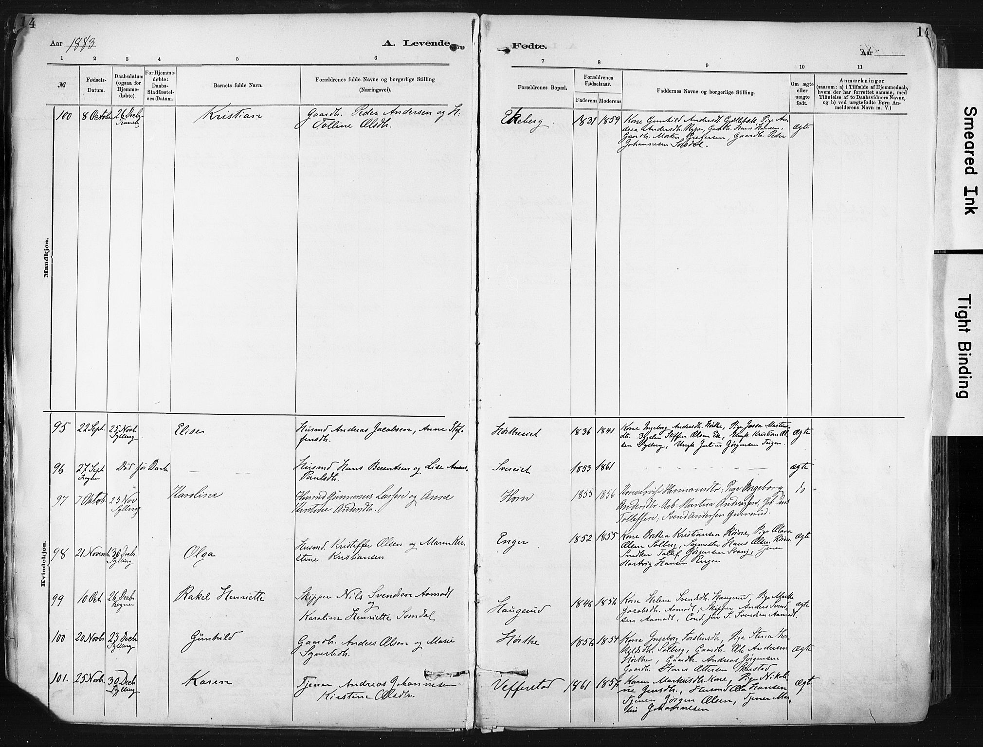 Lier kirkebøker, SAKO/A-230/F/Fa/L0015: Parish register (official) no. I 15, 1883-1894, p. 14