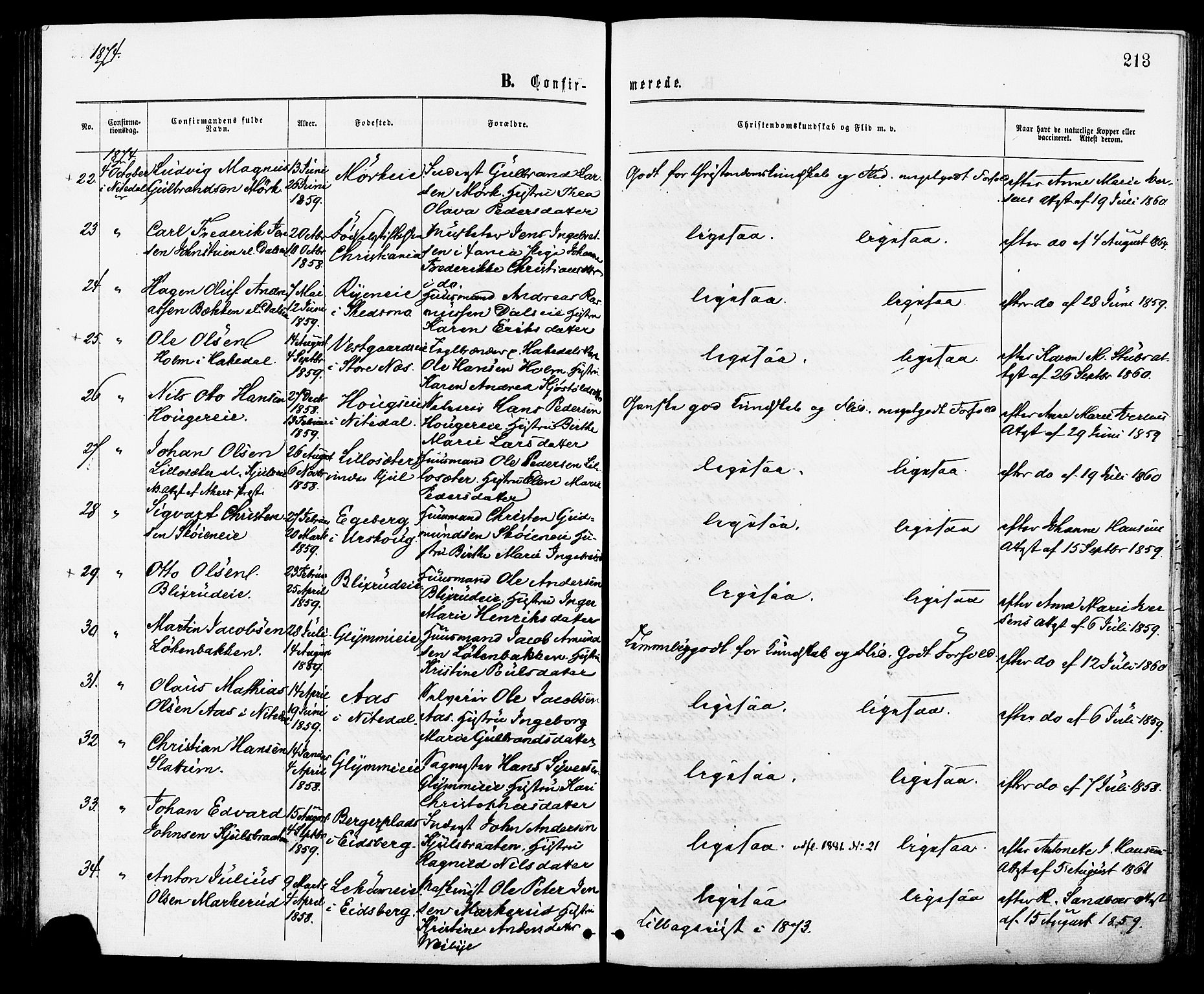 Nittedal prestekontor Kirkebøker, AV/SAO-A-10365a/F/Fa/L0006: Parish register (official) no. I 6, 1863-1878, p. 213