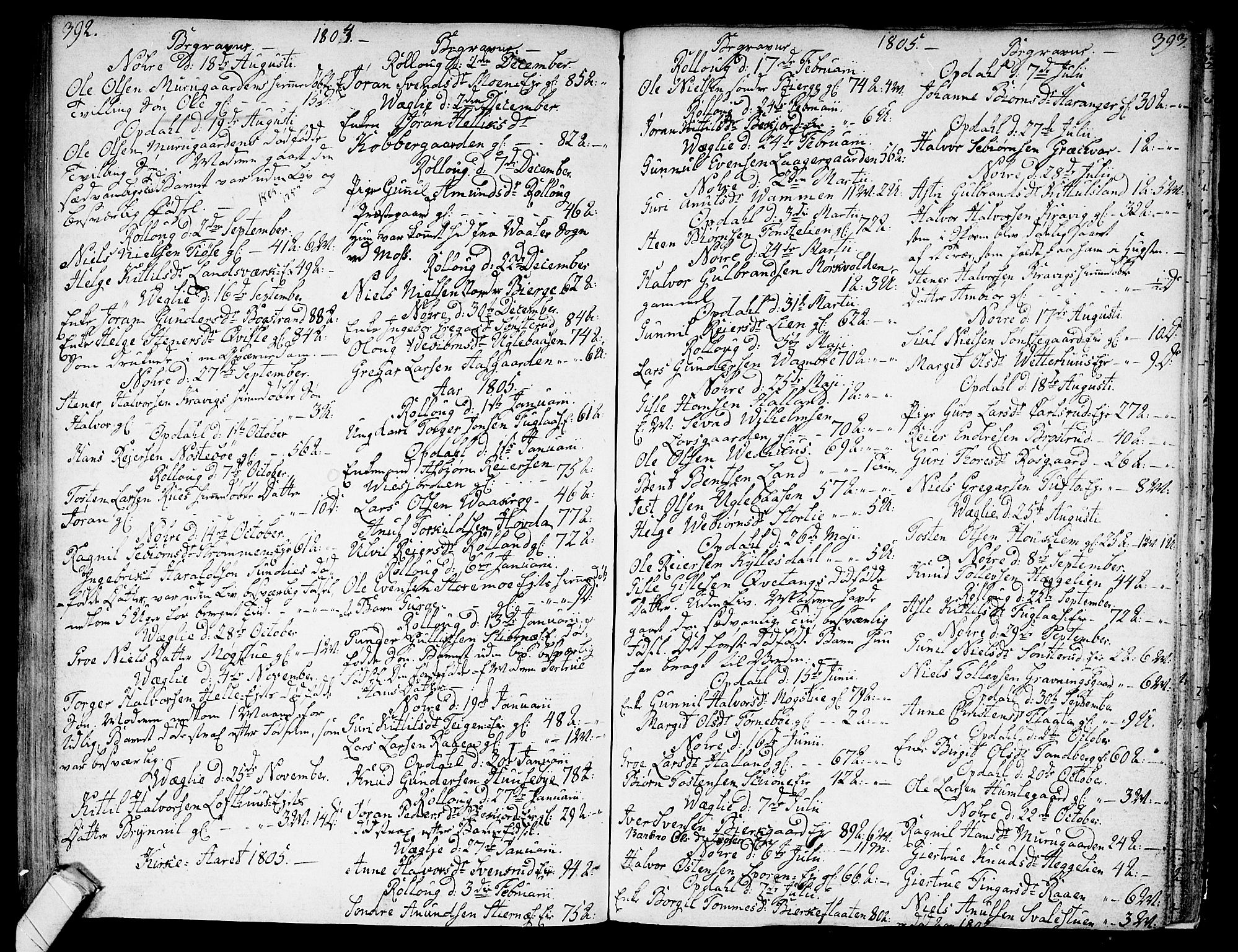 Rollag kirkebøker, SAKO/A-240/F/Fa/L0005: Parish register (official) no. I 5, 1792-1814, p. 392-393