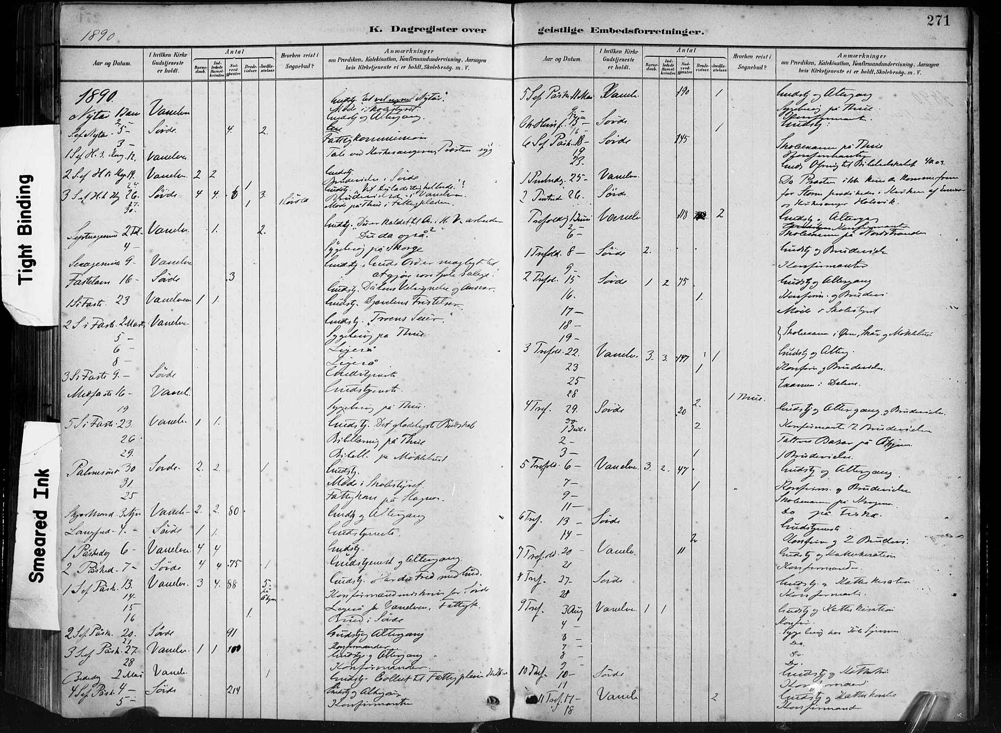 Ministerialprotokoller, klokkerbøker og fødselsregistre - Møre og Romsdal, AV/SAT-A-1454/501/L0008: Parish register (official) no. 501A08, 1885-1901, p. 271