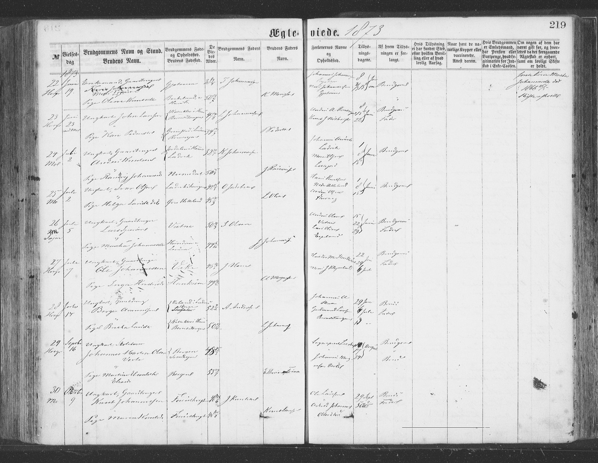 Hosanger sokneprestembete, AV/SAB-A-75801/H/Haa: Parish register (official) no. A 9, 1864-1876, p. 219