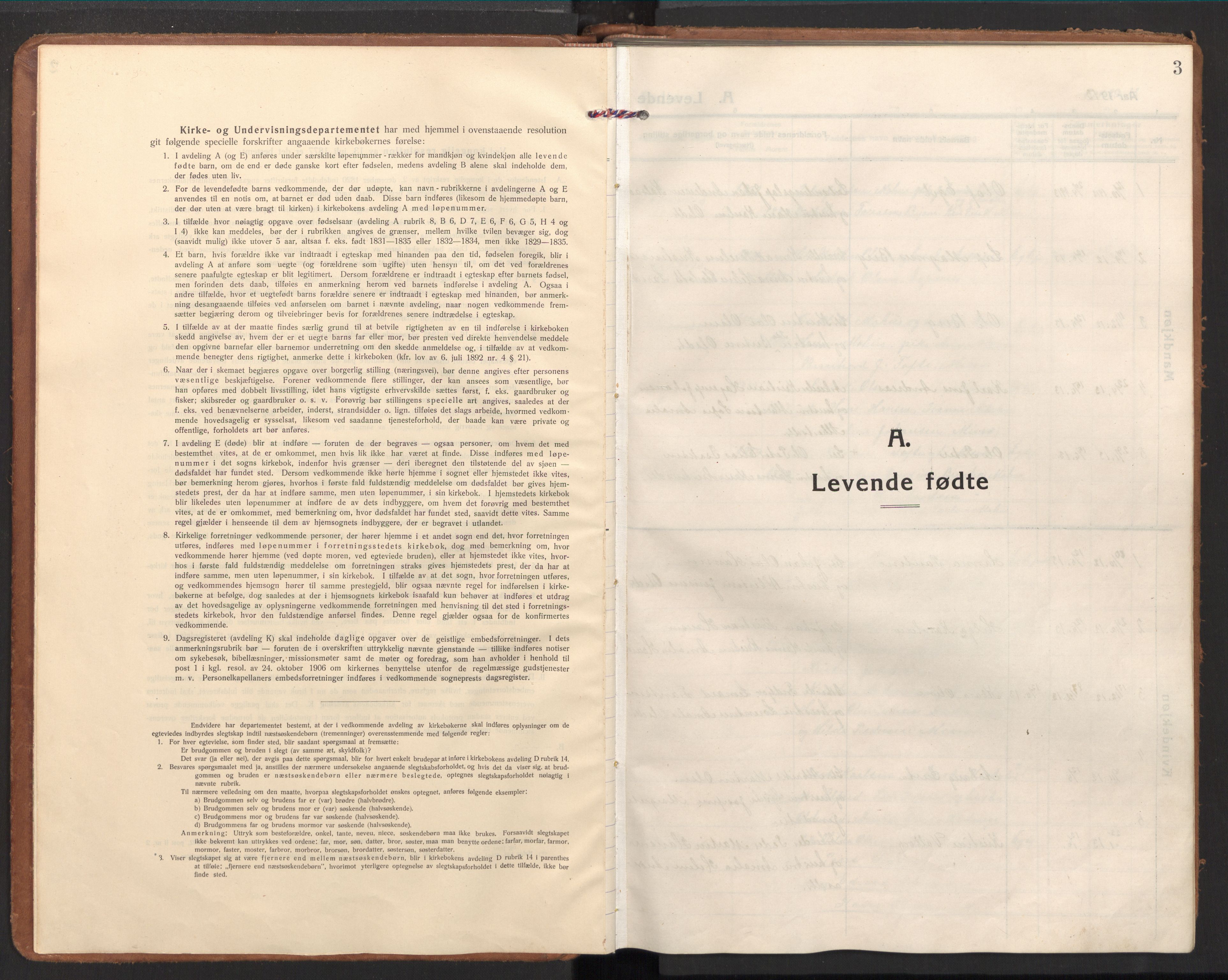 Ministerialprotokoller, klokkerbøker og fødselsregistre - Nordland, SAT/A-1459/848/L0688: Parish register (official) no. 848A01, 1913-1935, p. 3