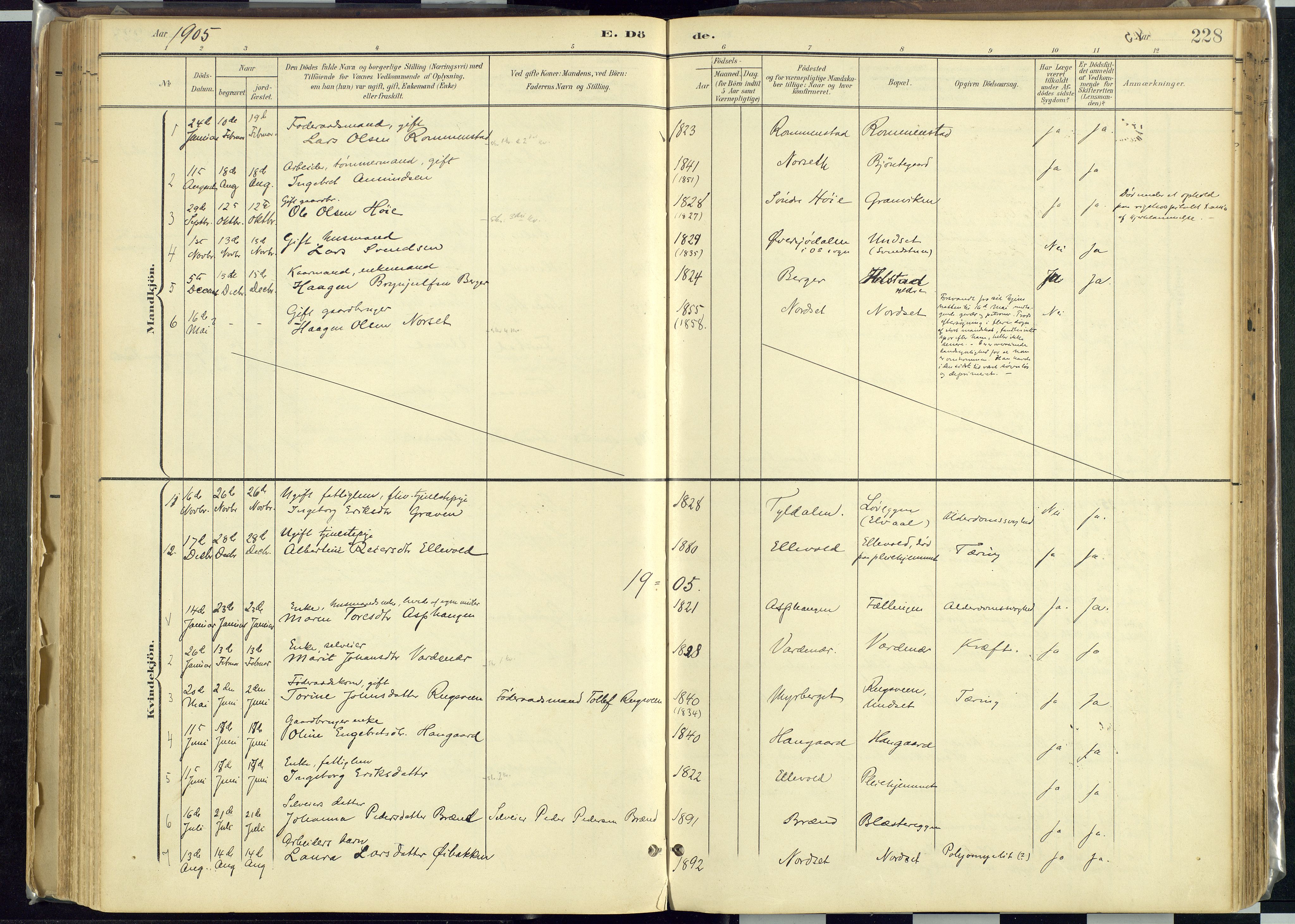 Rendalen prestekontor, SAH/PREST-054/H/Ha/Haa/L0012: Parish register (official) no. 12, 1901-1928, p. 228