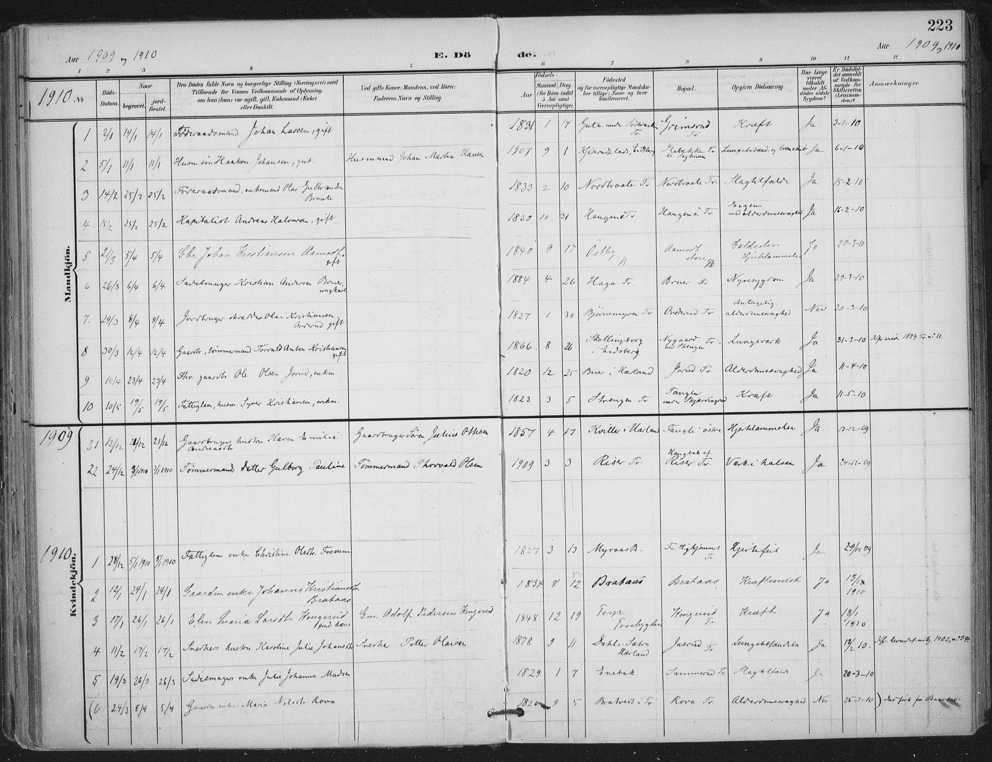 Trøgstad prestekontor Kirkebøker, AV/SAO-A-10925/F/Fa/L0011: Parish register (official) no. I 11, 1899-1919, p. 223