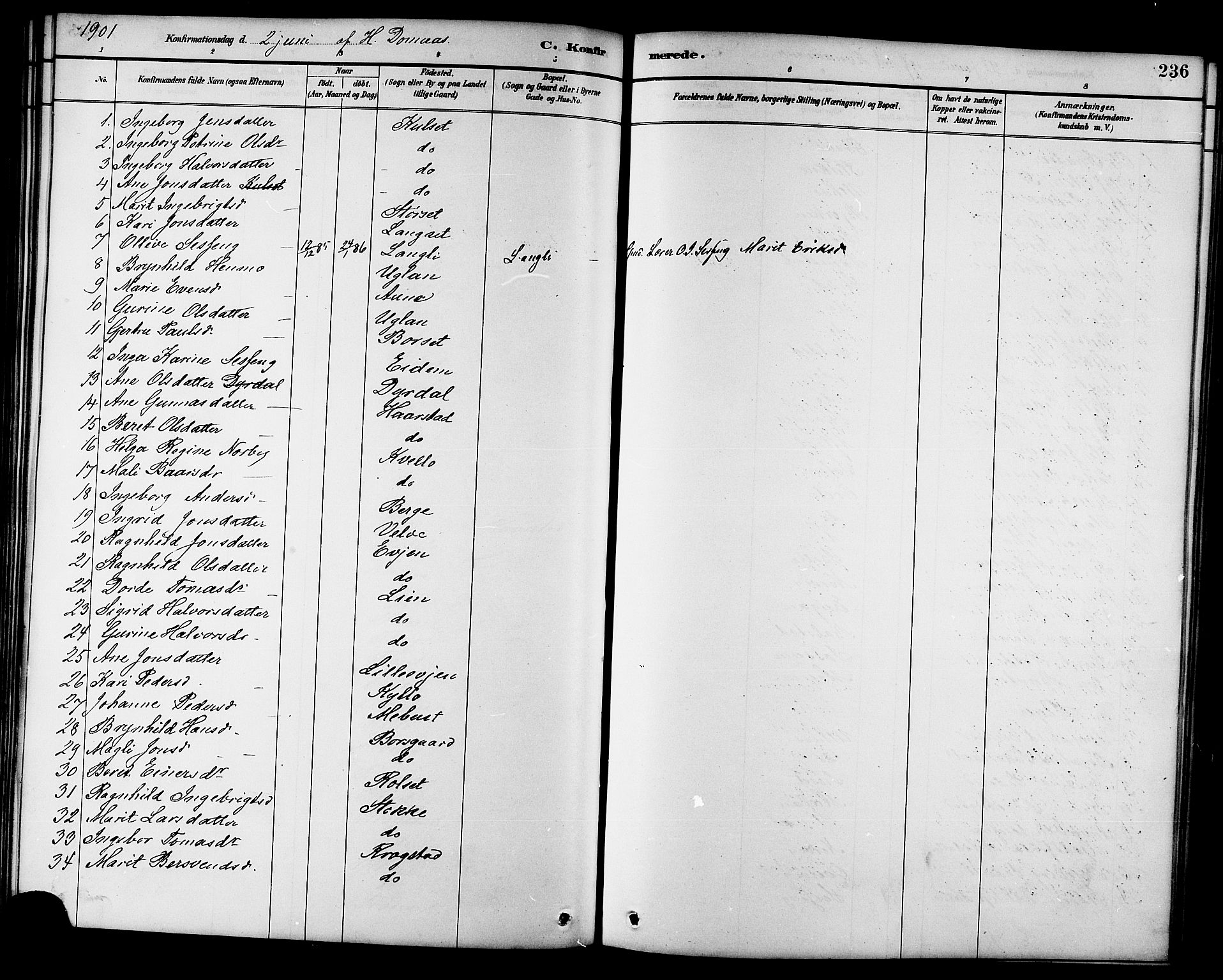Ministerialprotokoller, klokkerbøker og fødselsregistre - Sør-Trøndelag, SAT/A-1456/695/L1157: Parish register (copy) no. 695C08, 1889-1913, p. 236