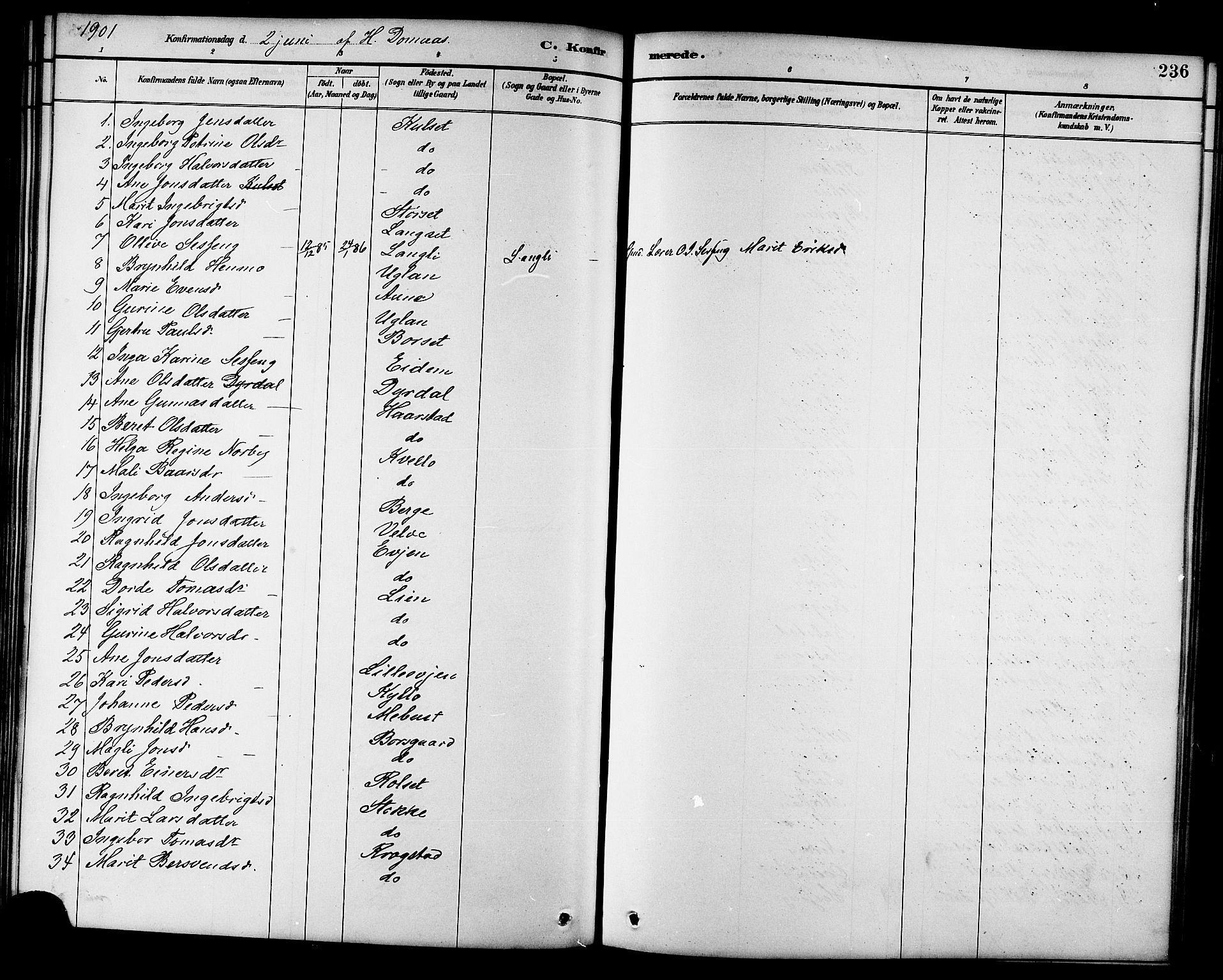 Ministerialprotokoller, klokkerbøker og fødselsregistre - Sør-Trøndelag, AV/SAT-A-1456/695/L1157: Parish register (copy) no. 695C08, 1889-1913, p. 236