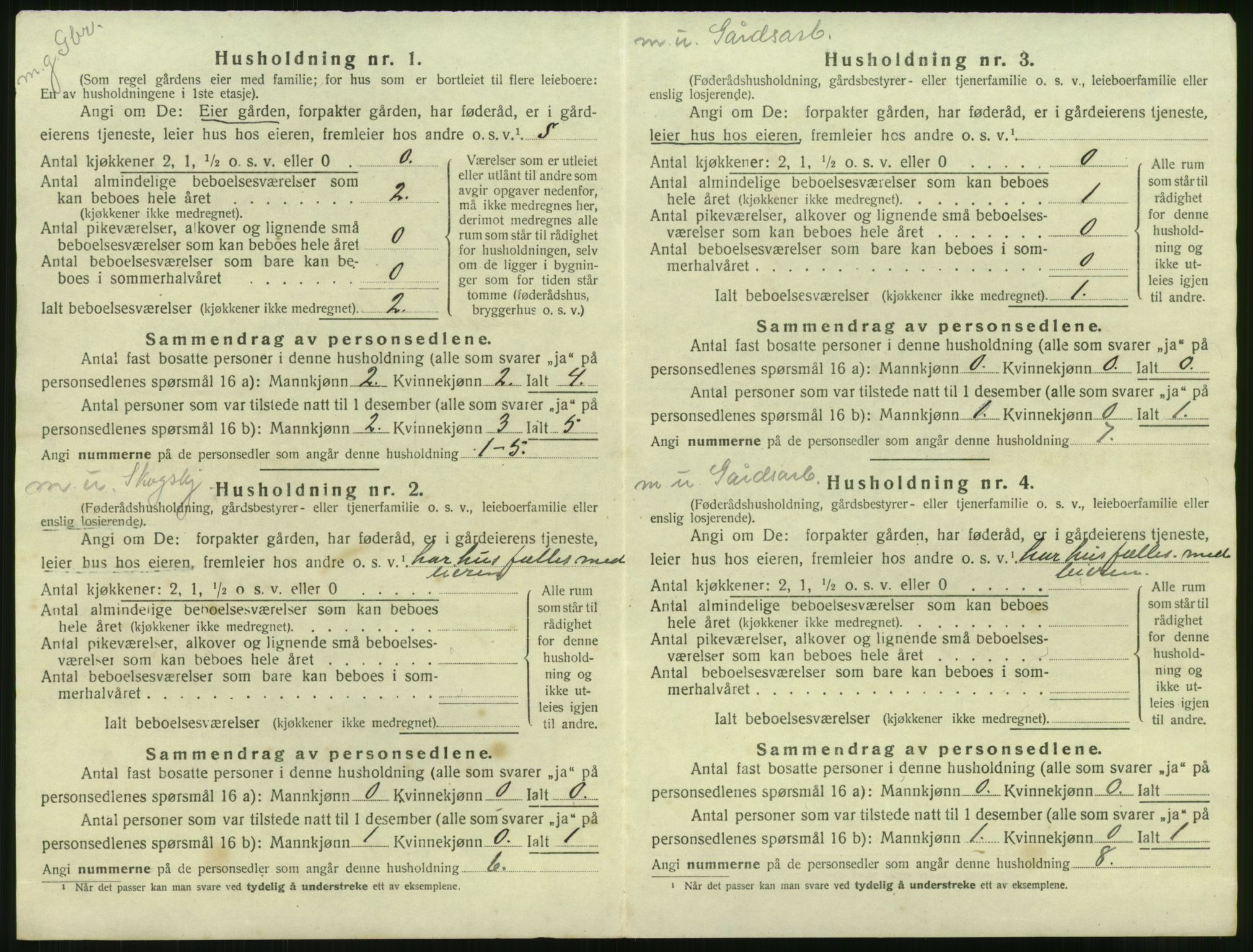 SAKO, 1920 census for Ål, 1920, p. 1397