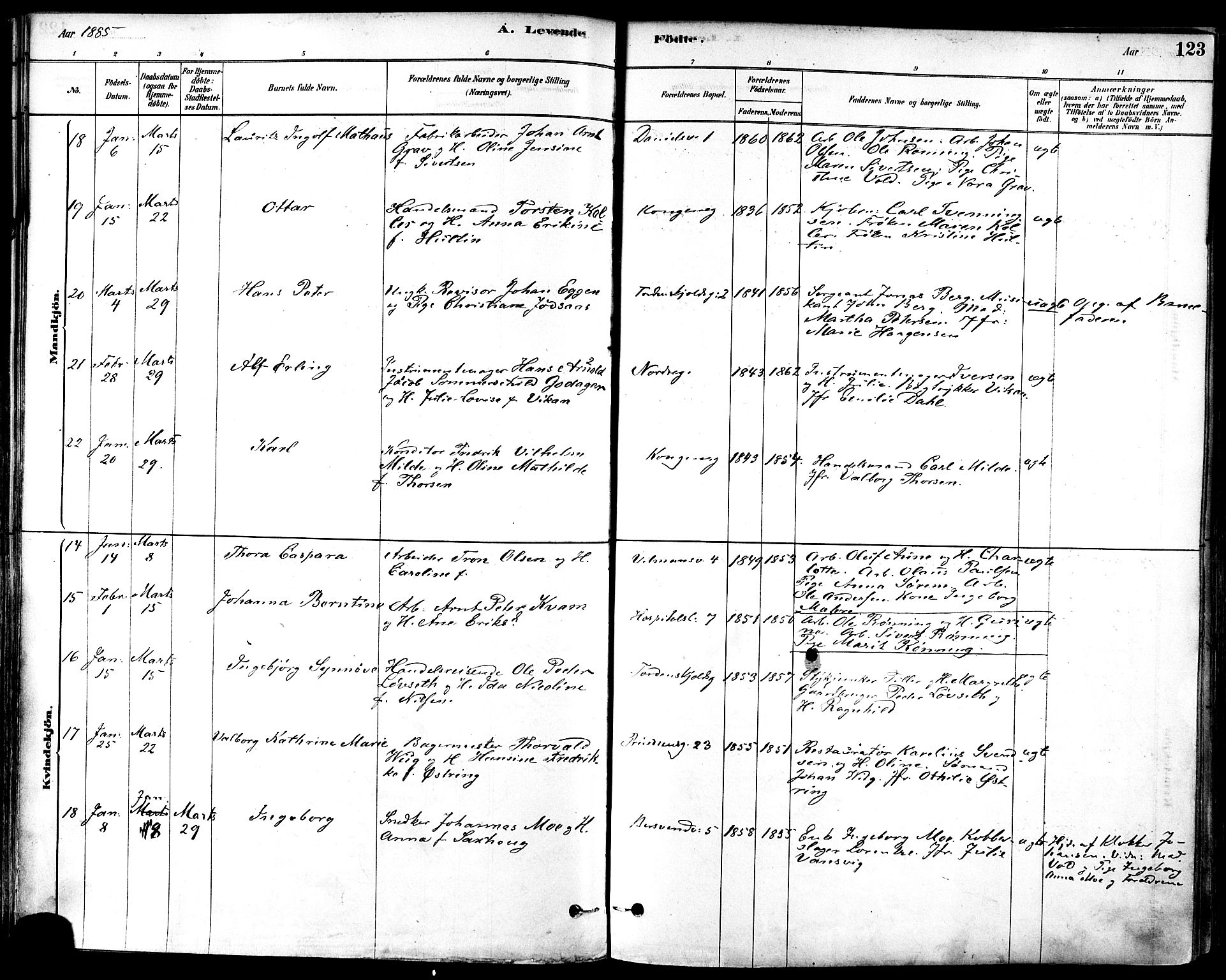 Ministerialprotokoller, klokkerbøker og fødselsregistre - Sør-Trøndelag, AV/SAT-A-1456/601/L0057: Parish register (official) no. 601A25, 1877-1891, p. 123