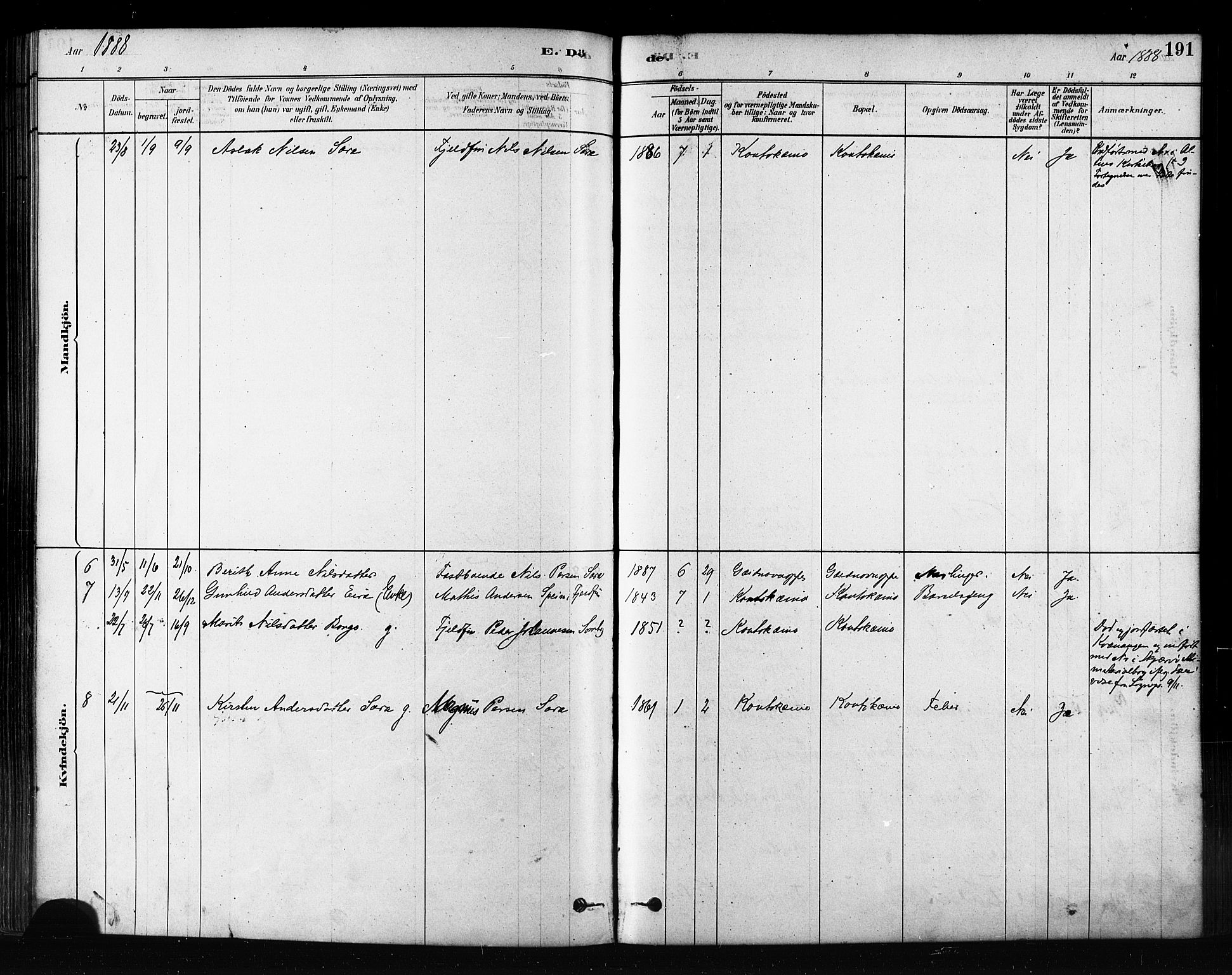 Kautokeino sokneprestembete, SATØ/S-1340/H/Ha/L0004.kirke: Parish register (official) no. 4, 1877-1896, p. 191