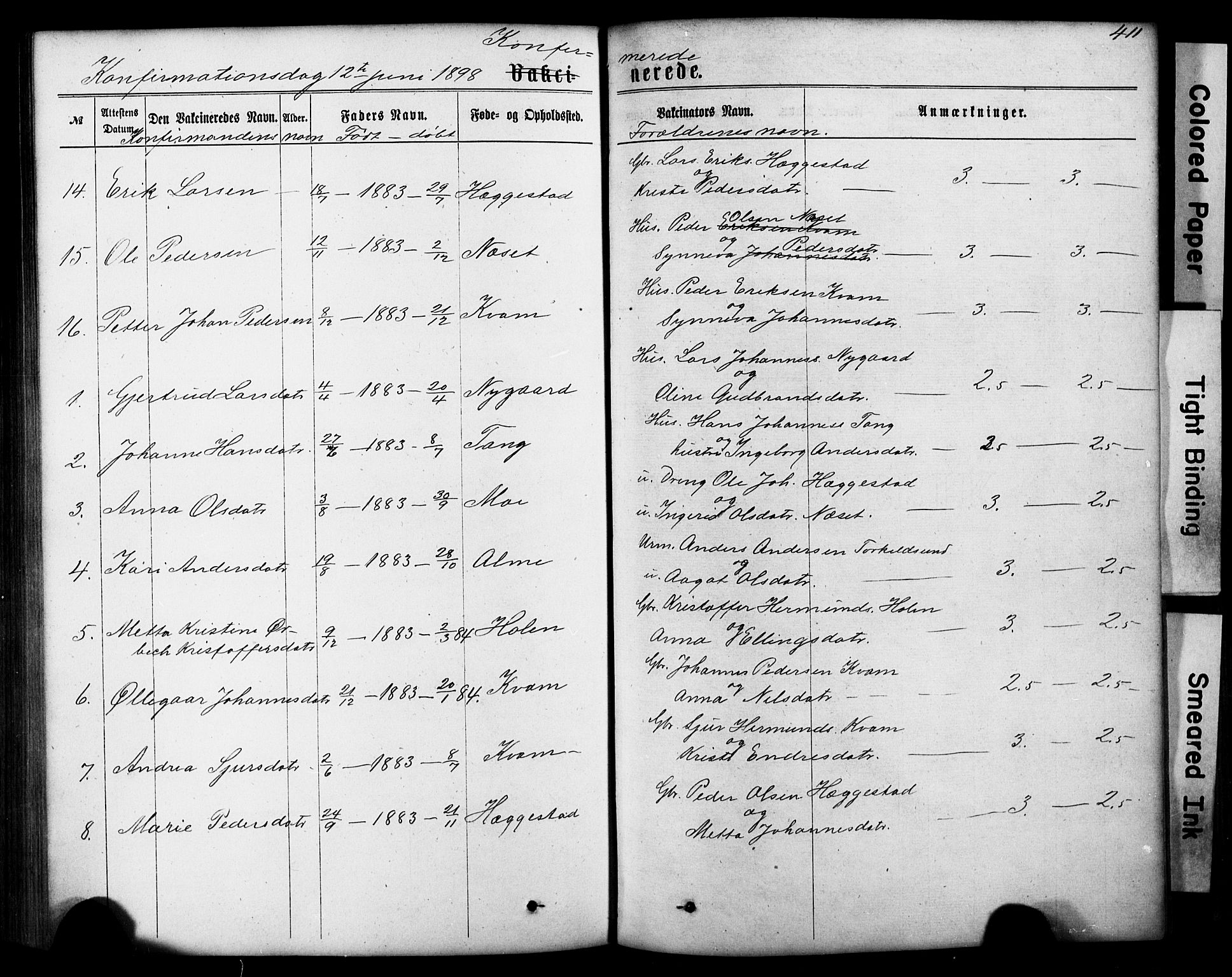 Hafslo sokneprestembete, AV/SAB-A-80301/H/Hab/Haba/L0001: Parish register (copy) no. A 1, 1866-1908, p. 411