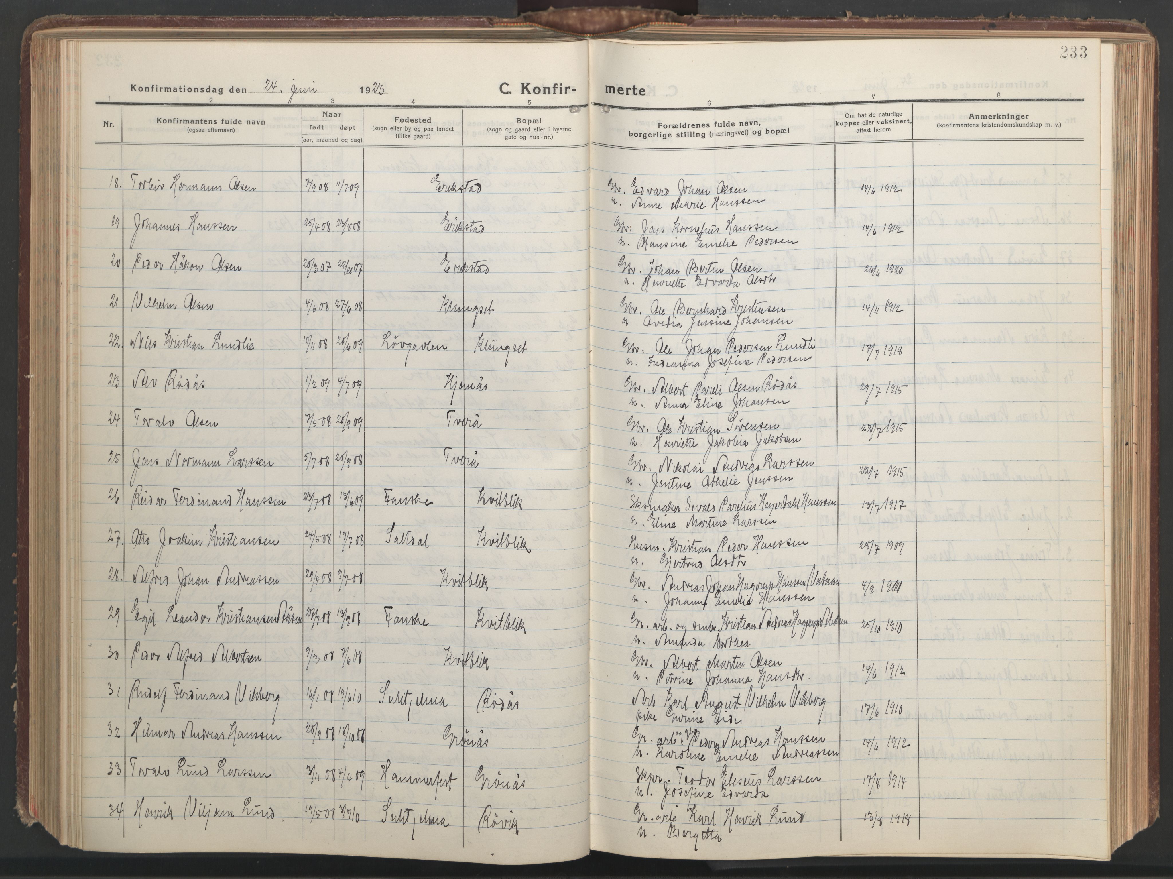 Ministerialprotokoller, klokkerbøker og fødselsregistre - Nordland, AV/SAT-A-1459/849/L0700: Parish register (copy) no. 849C01, 1919-1946, p. 233