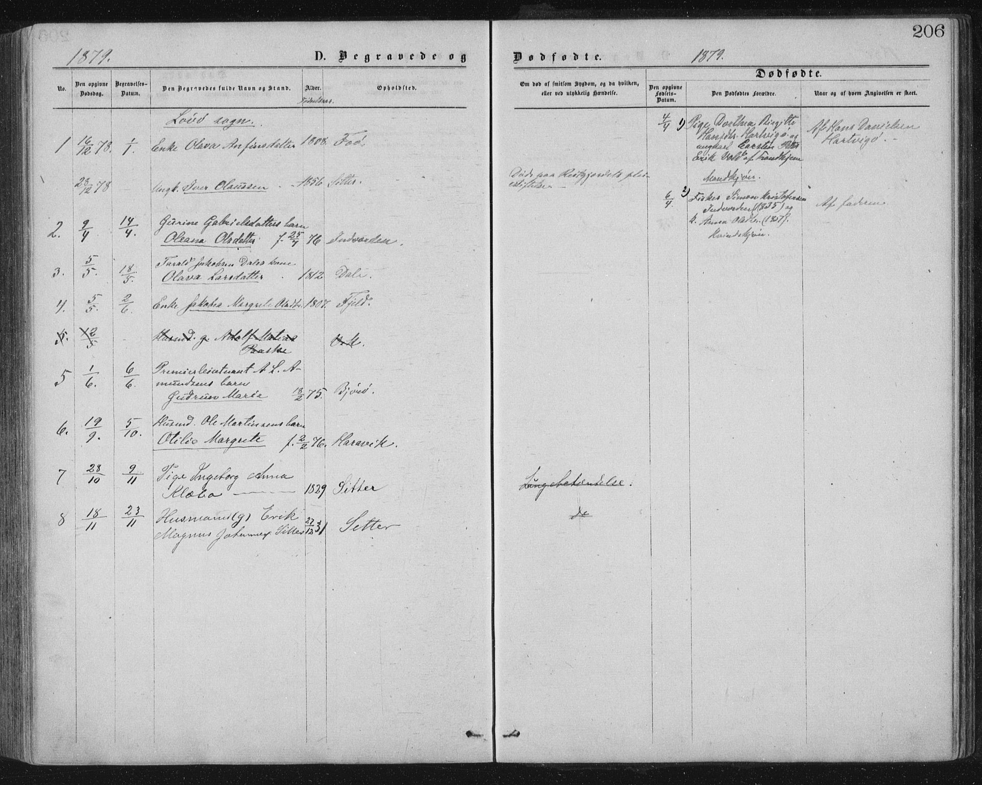 Ministerialprotokoller, klokkerbøker og fødselsregistre - Nord-Trøndelag, AV/SAT-A-1458/771/L0596: Parish register (official) no. 771A03, 1870-1884, p. 206