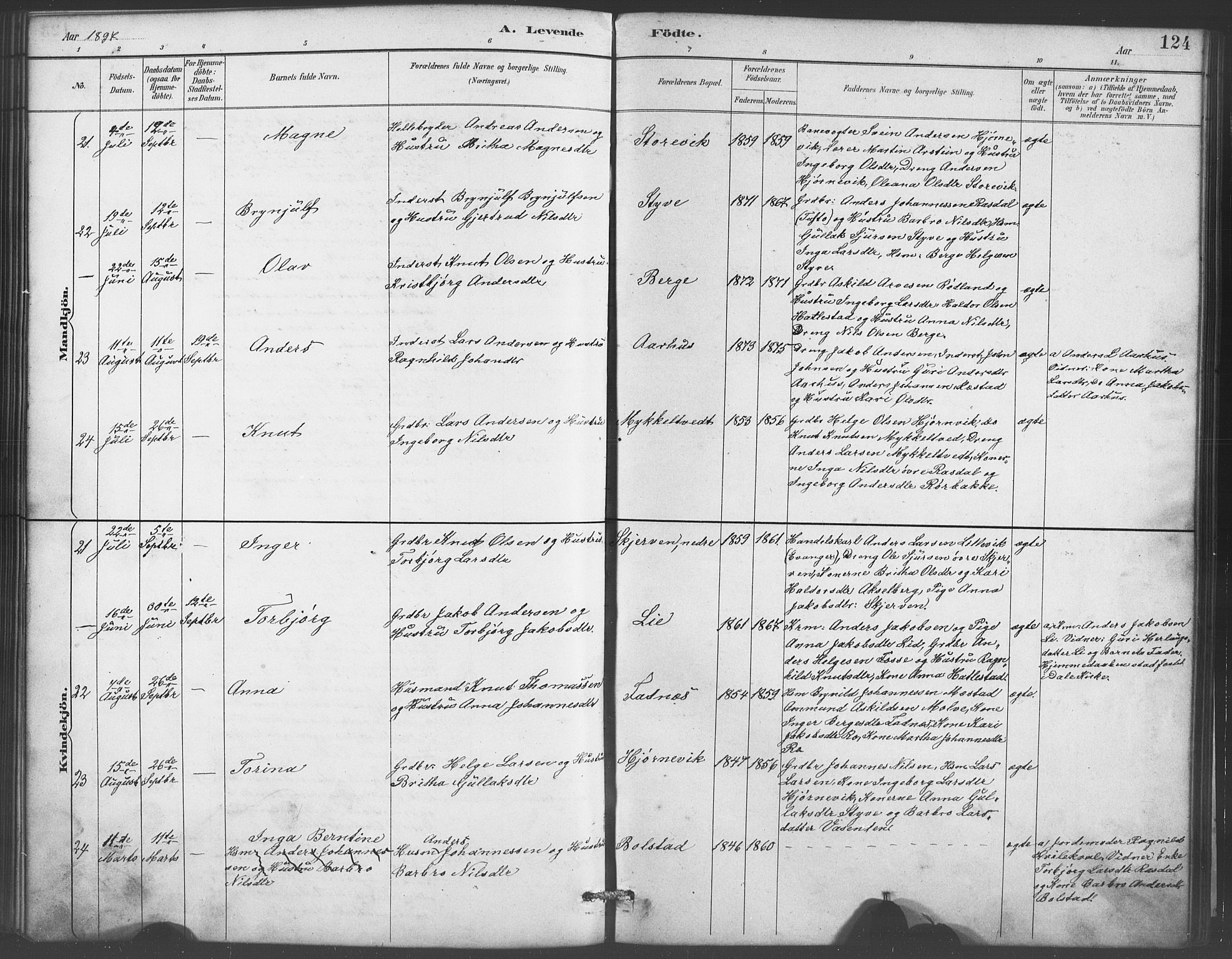 Evanger sokneprestembete, AV/SAB-A-99924: Parish register (copy) no. A 4, 1887-1897, p. 124