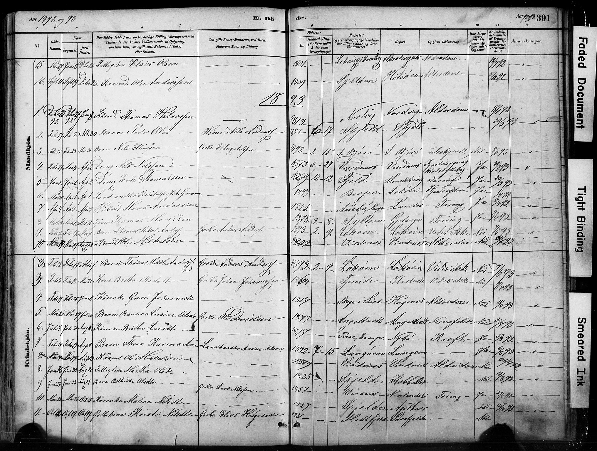 Fjell sokneprestembete, SAB/A-75301/H/Hab: Parish register (copy) no. A 4, 1880-1899, p. 391
