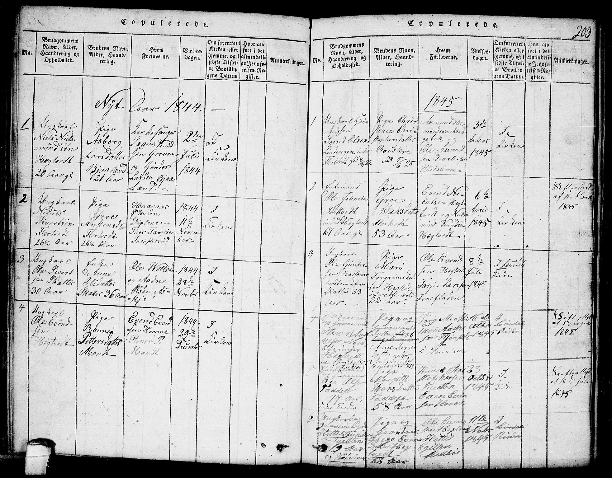 Lårdal kirkebøker, SAKO/A-284/G/Ga/L0001: Parish register (copy) no. I 1, 1815-1861, p. 203