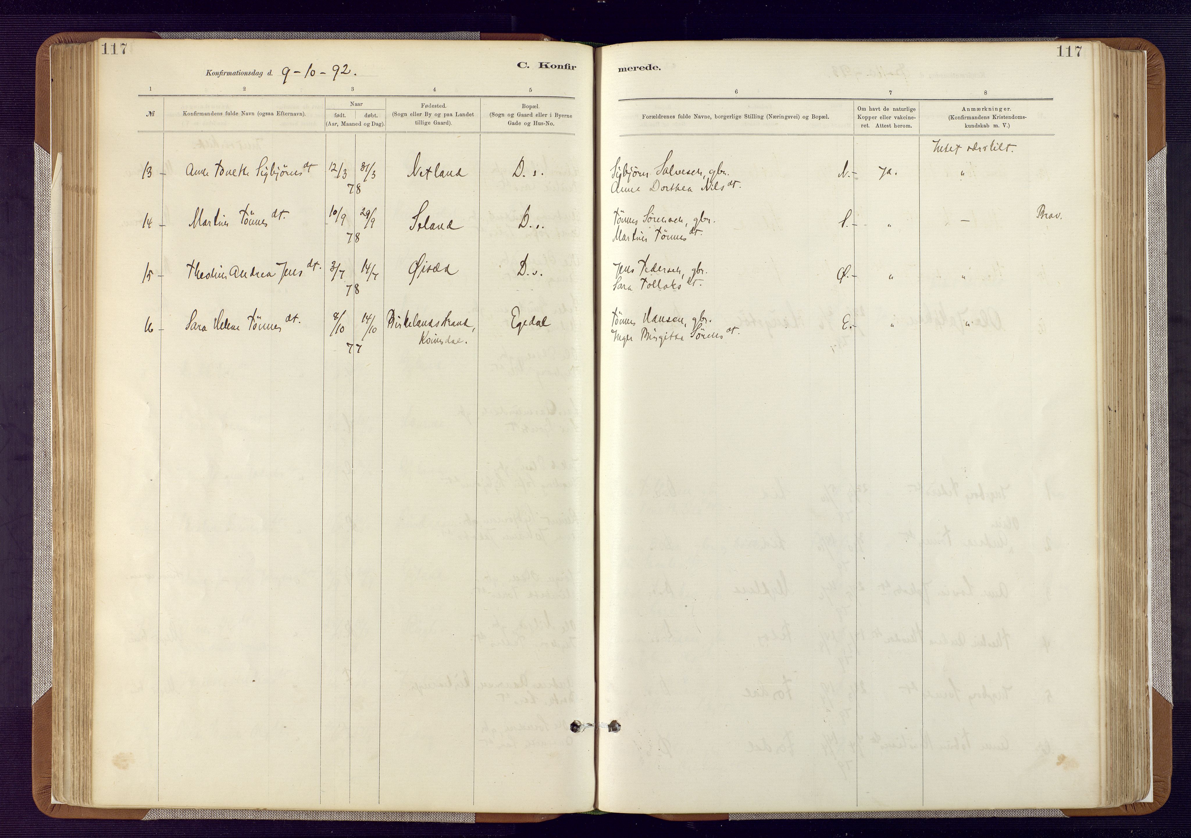 Bakke sokneprestkontor, AV/SAK-1111-0002/F/Fa/Fab/L0003: Parish register (official) no. A 3, 1884-1921, p. 117