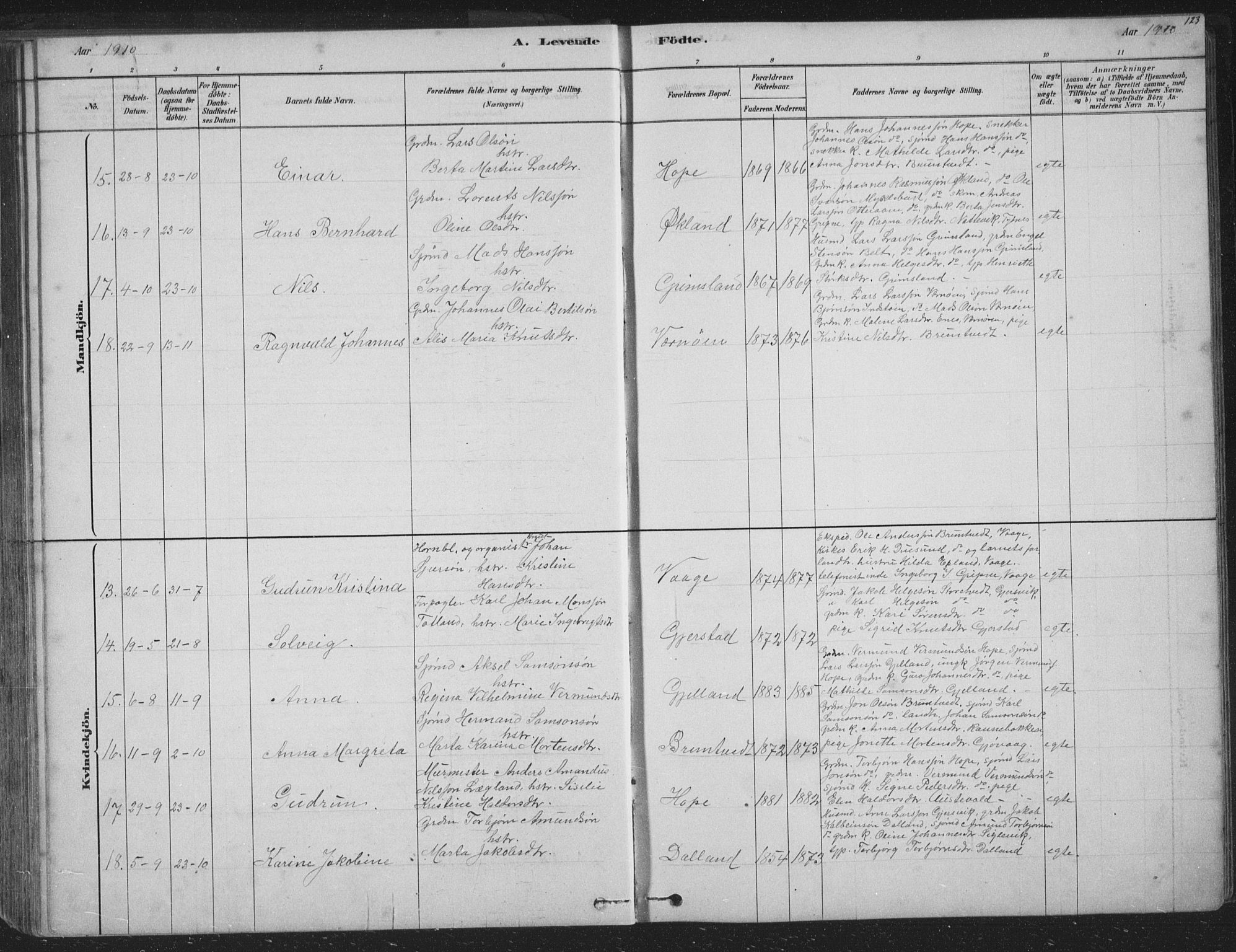 Tysnes sokneprestembete, SAB/A-78601/H/Hab: Parish register (copy) no. B 2, 1878-1918, p. 123