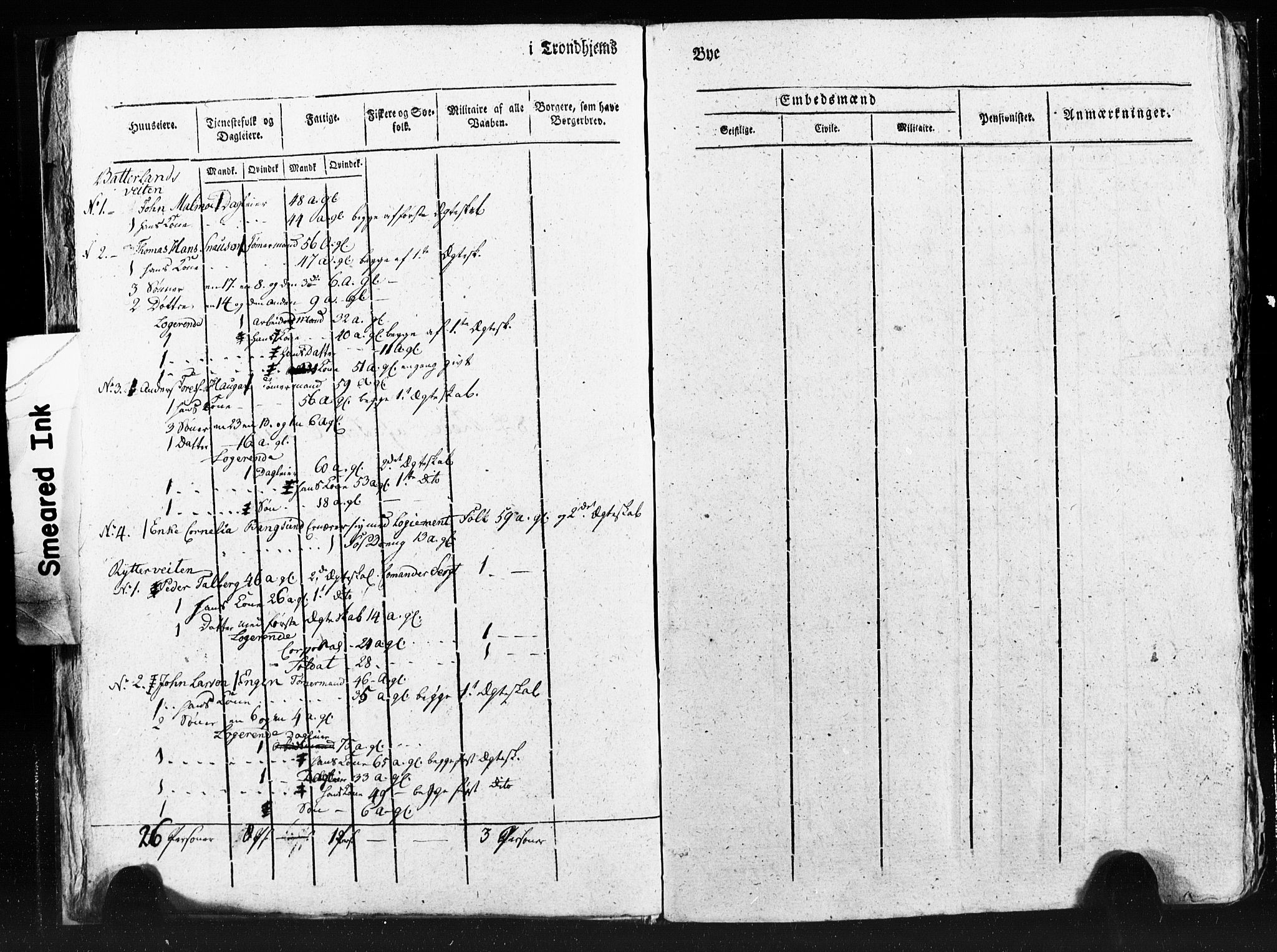 SAT, Census 1815 for Trondheim (transcript), 1815, p. 220