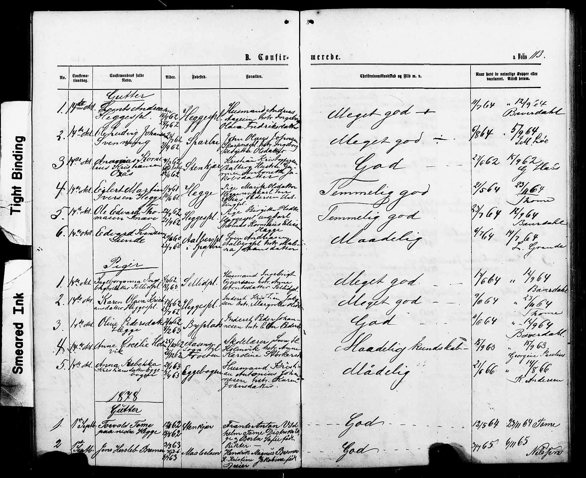 Ministerialprotokoller, klokkerbøker og fødselsregistre - Nord-Trøndelag, AV/SAT-A-1458/740/L0380: Parish register (copy) no. 740C01, 1868-1902, p. 113