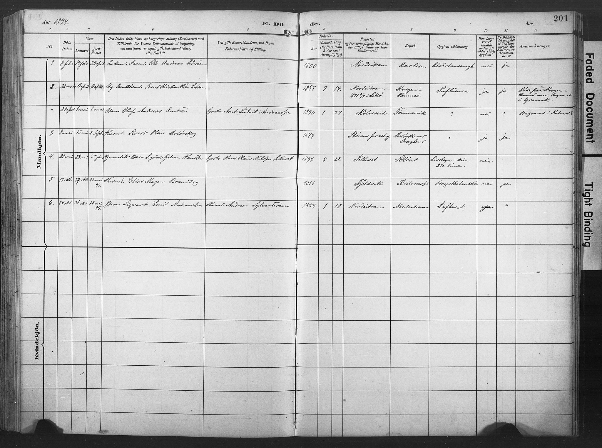 Ministerialprotokoller, klokkerbøker og fødselsregistre - Nord-Trøndelag, SAT/A-1458/789/L0706: Parish register (copy) no. 789C01, 1888-1931, p. 201